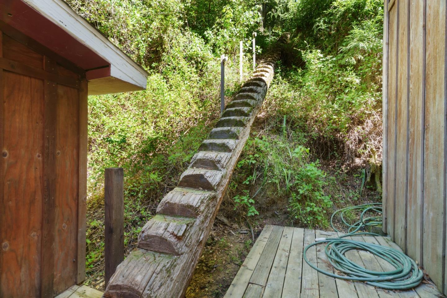 2950 Bear Canyon Road