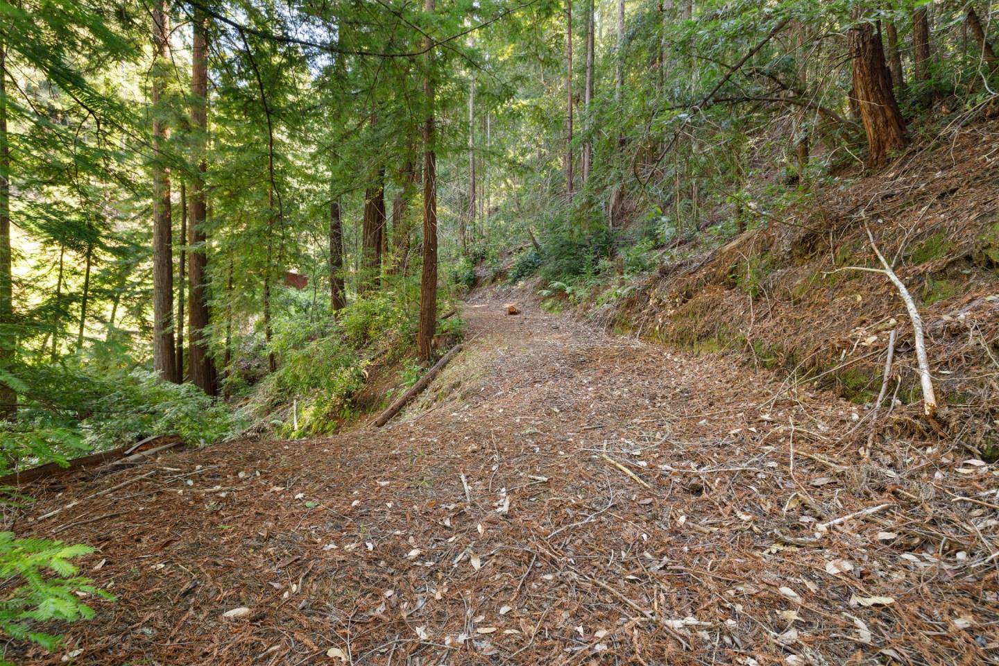 2950 Bear Canyon Road