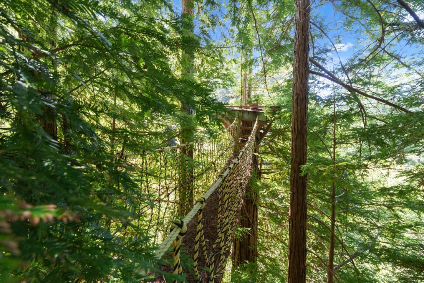 2950 Bear Canyon Road