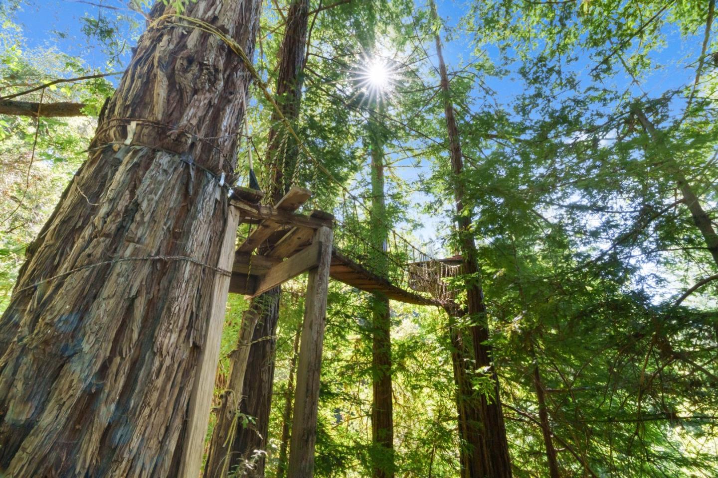 2950 Bear Canyon Road