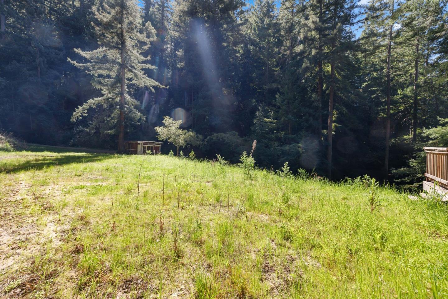 2950 Bear Canyon Road