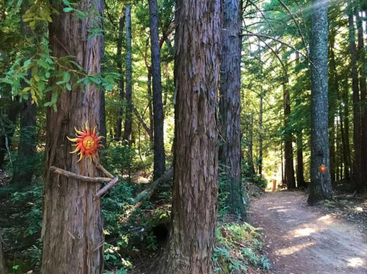 Lot 58 Skyview Ridge Road