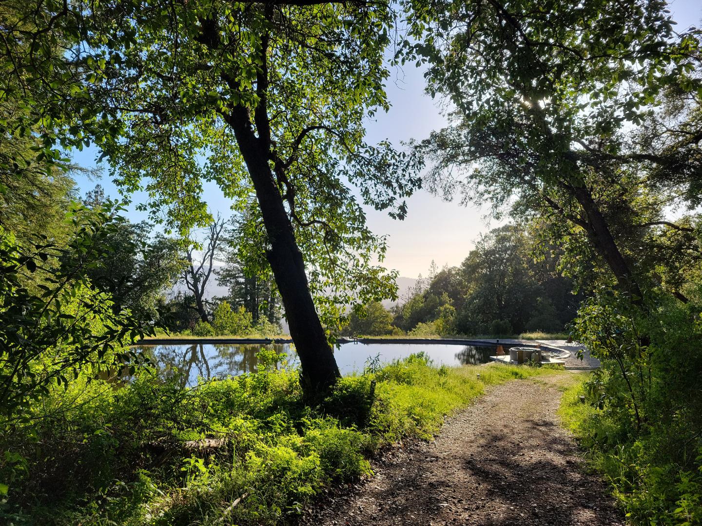 Lot 58 Skyview Ridge Road