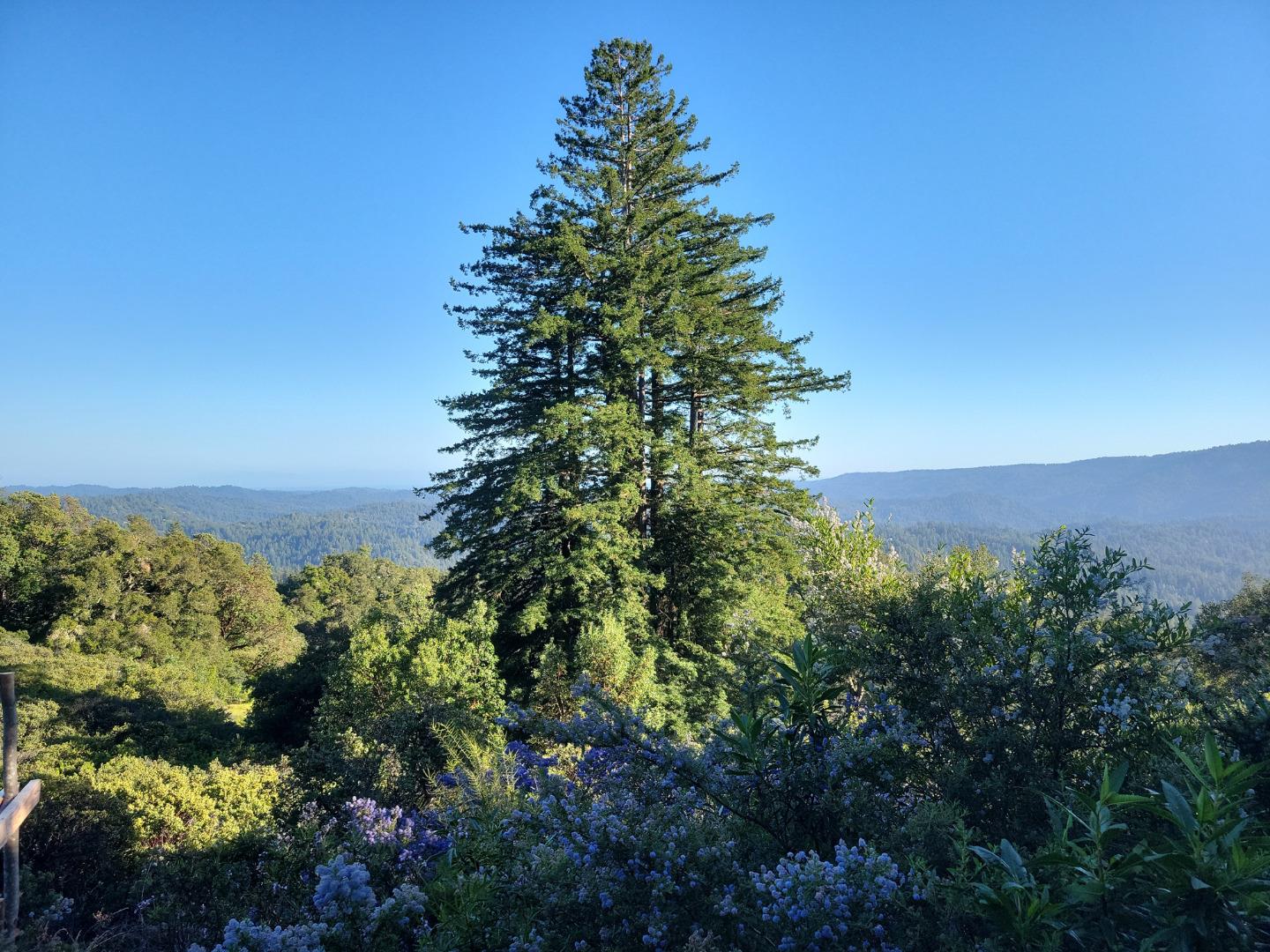 Lot 58 Skyview Ridge Road