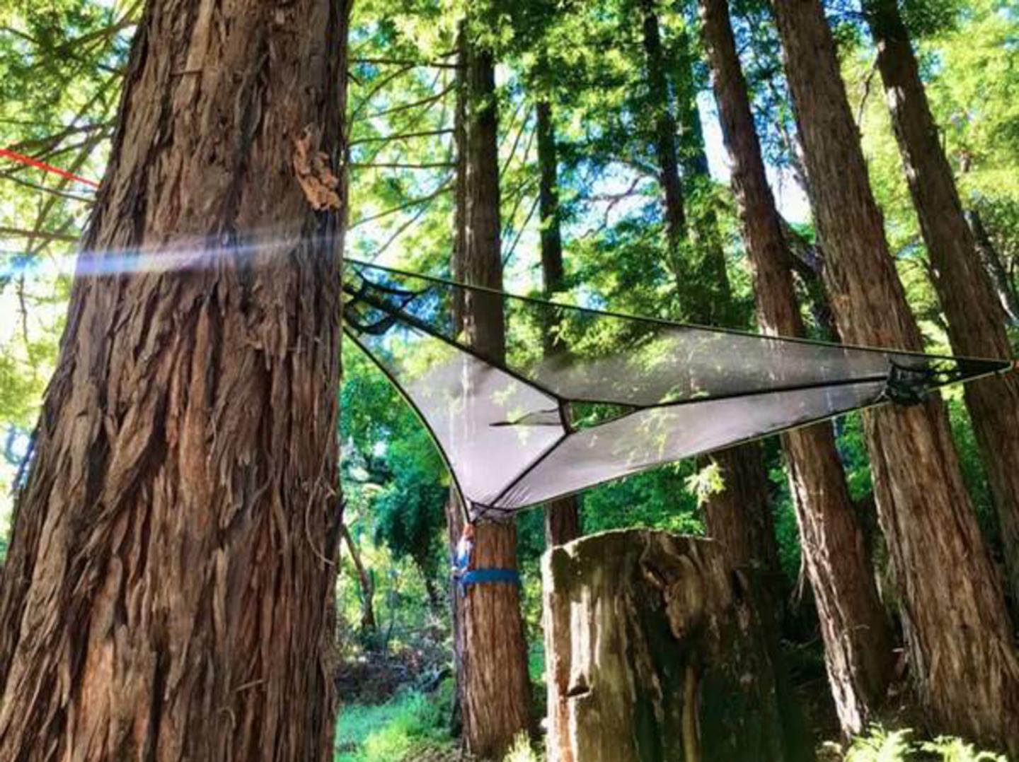 Lot 58 Skyview Ridge Road