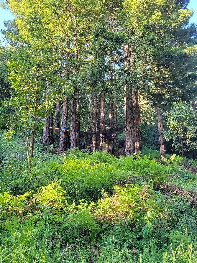 Lot 58 Skyview Ridge Road