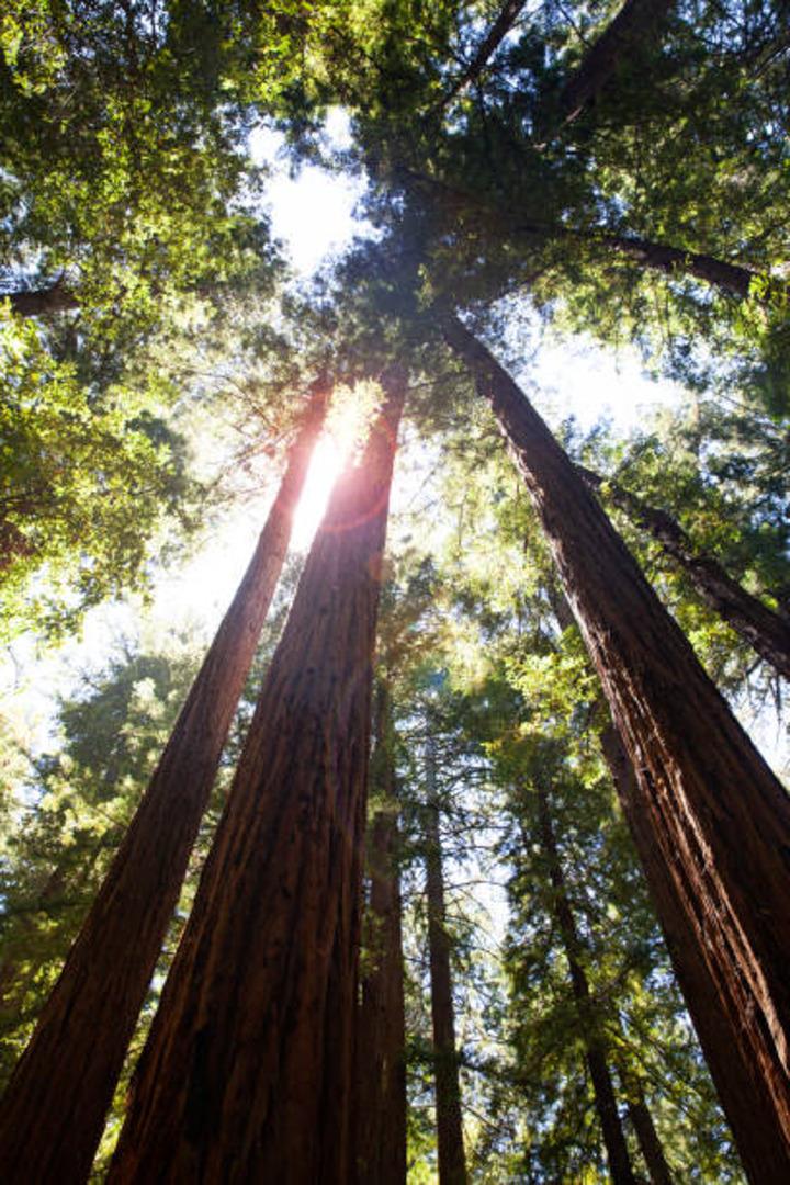 Lot 58 Skyview Ridge Road