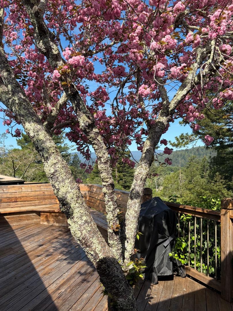 552 Bean Creek Road Unit: 30