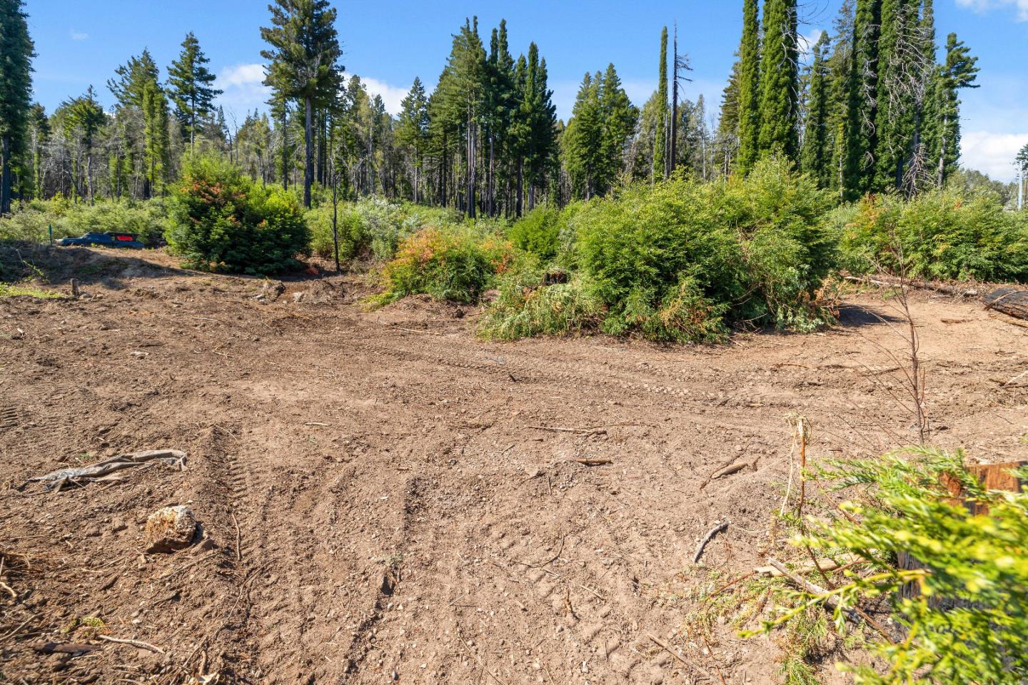 122 Cypress Tree Lane