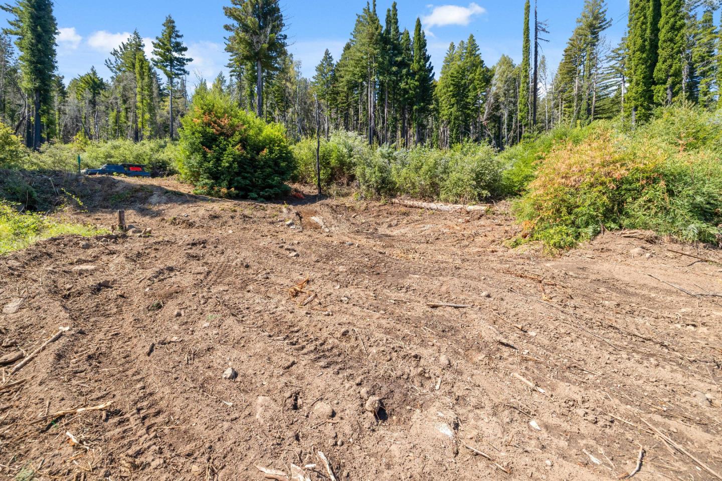 122 Cypress Tree Lane