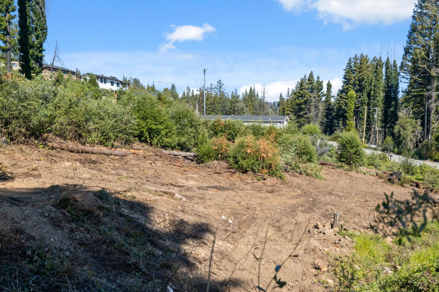 122 Cypress Tree Lane