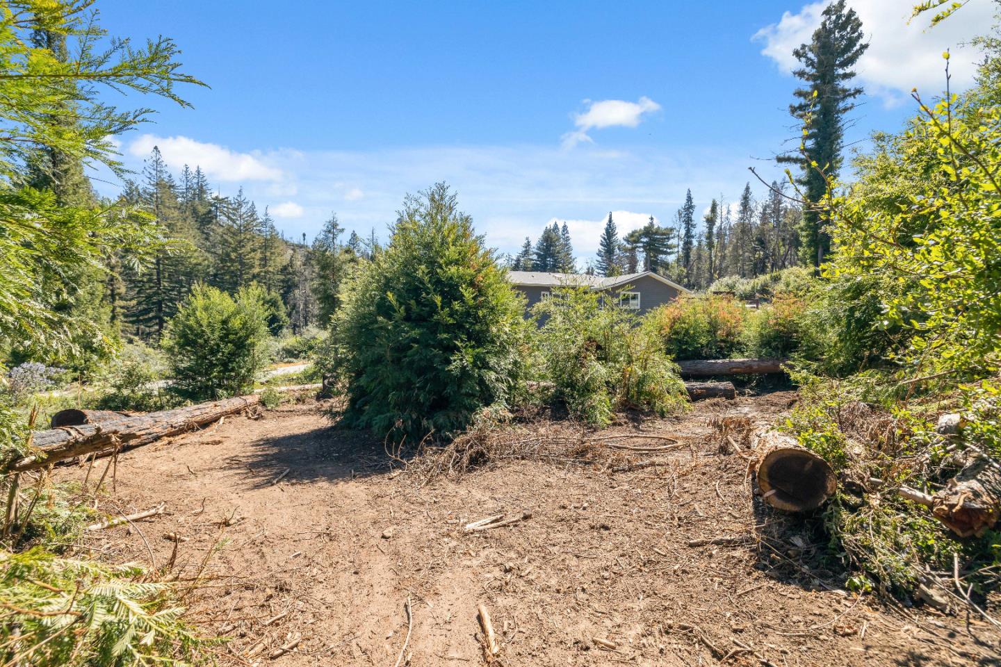 122 Cypress Tree Lane