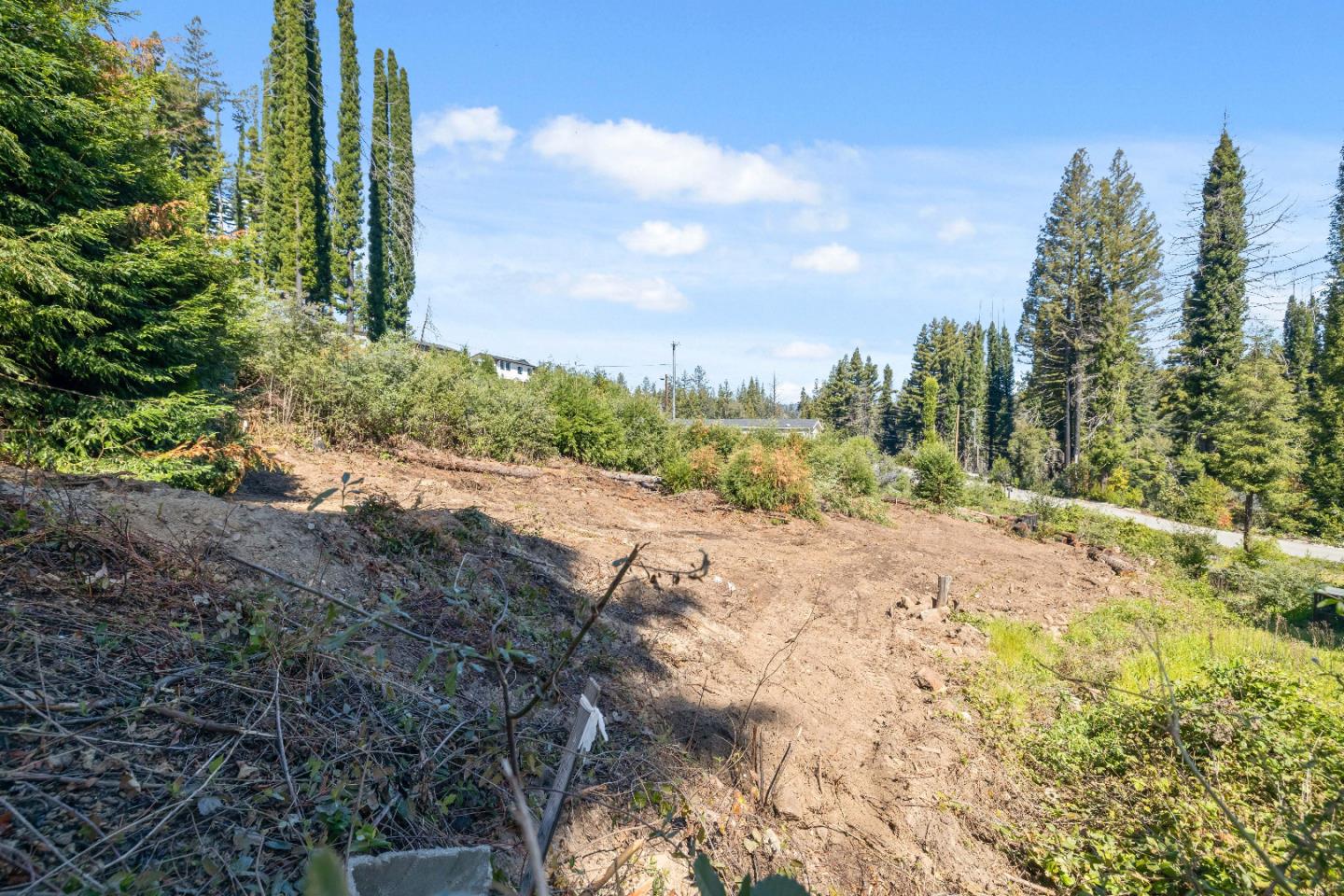 122 Cypress Tree Lane