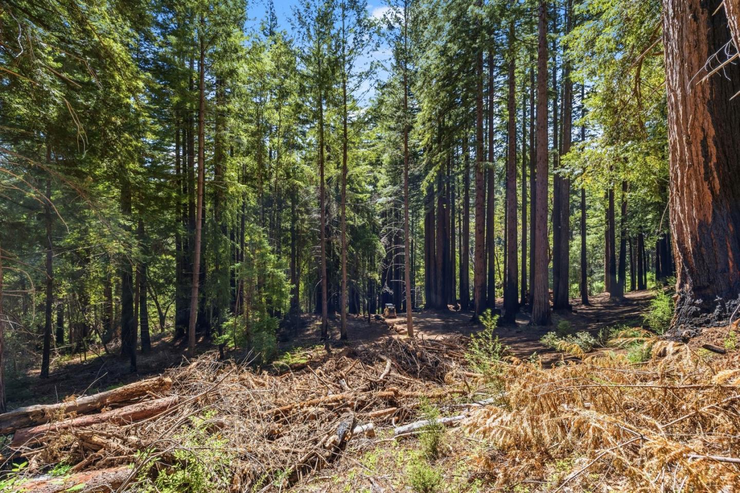 0 Band (Lot 15 & 18) Road