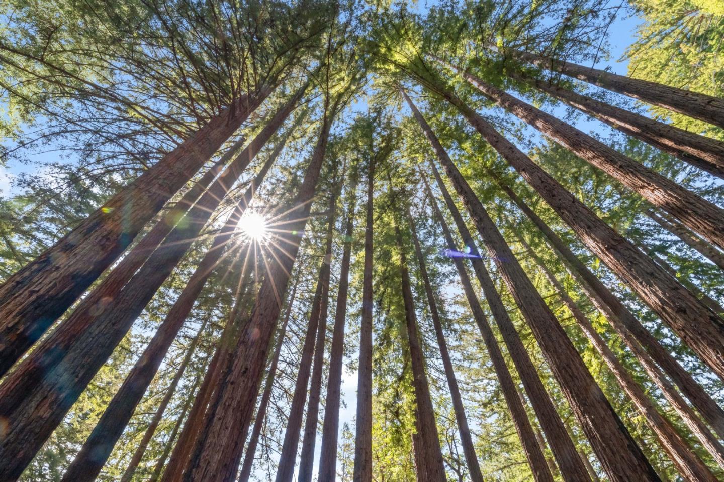 0 Band (Lot 15 & 18) Road