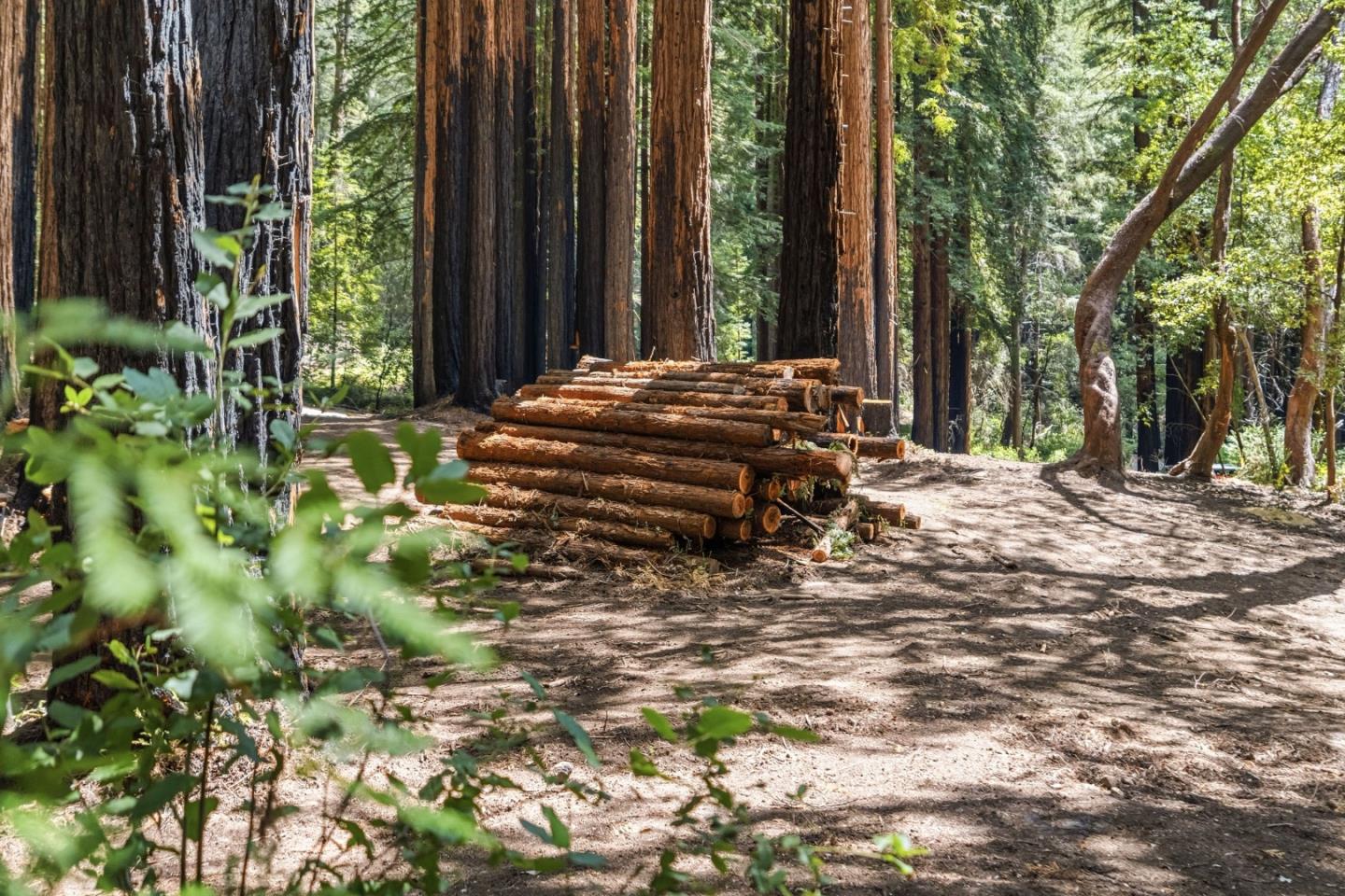 0 Band (Lot 15 & 18) Road