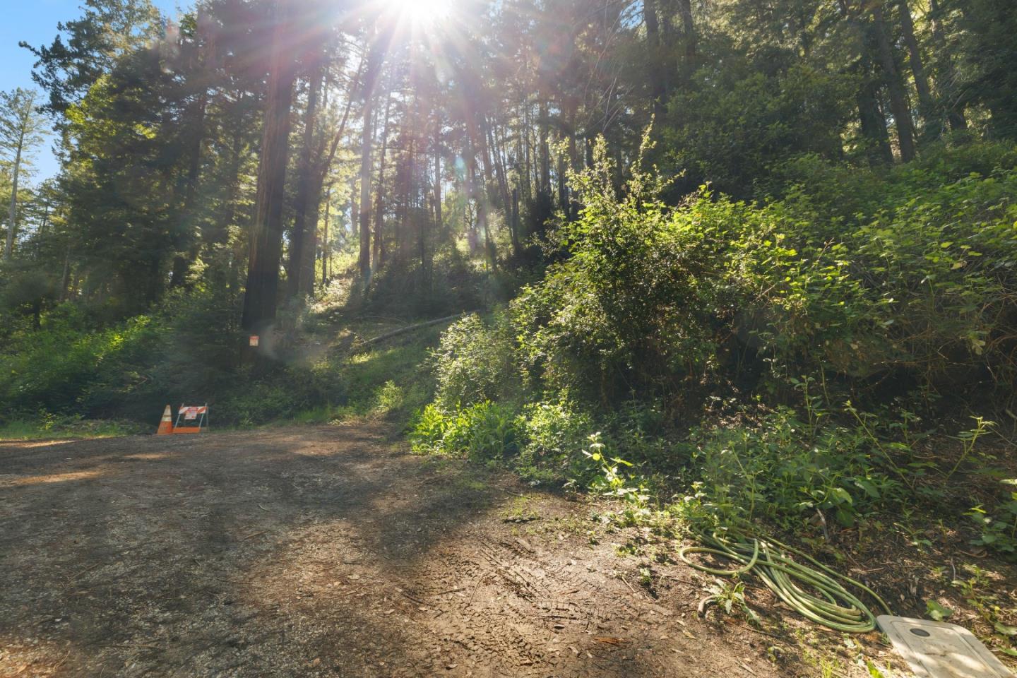 Wooded vacant lot with a dirt clearing, mature trees, and dense green undergrowth.