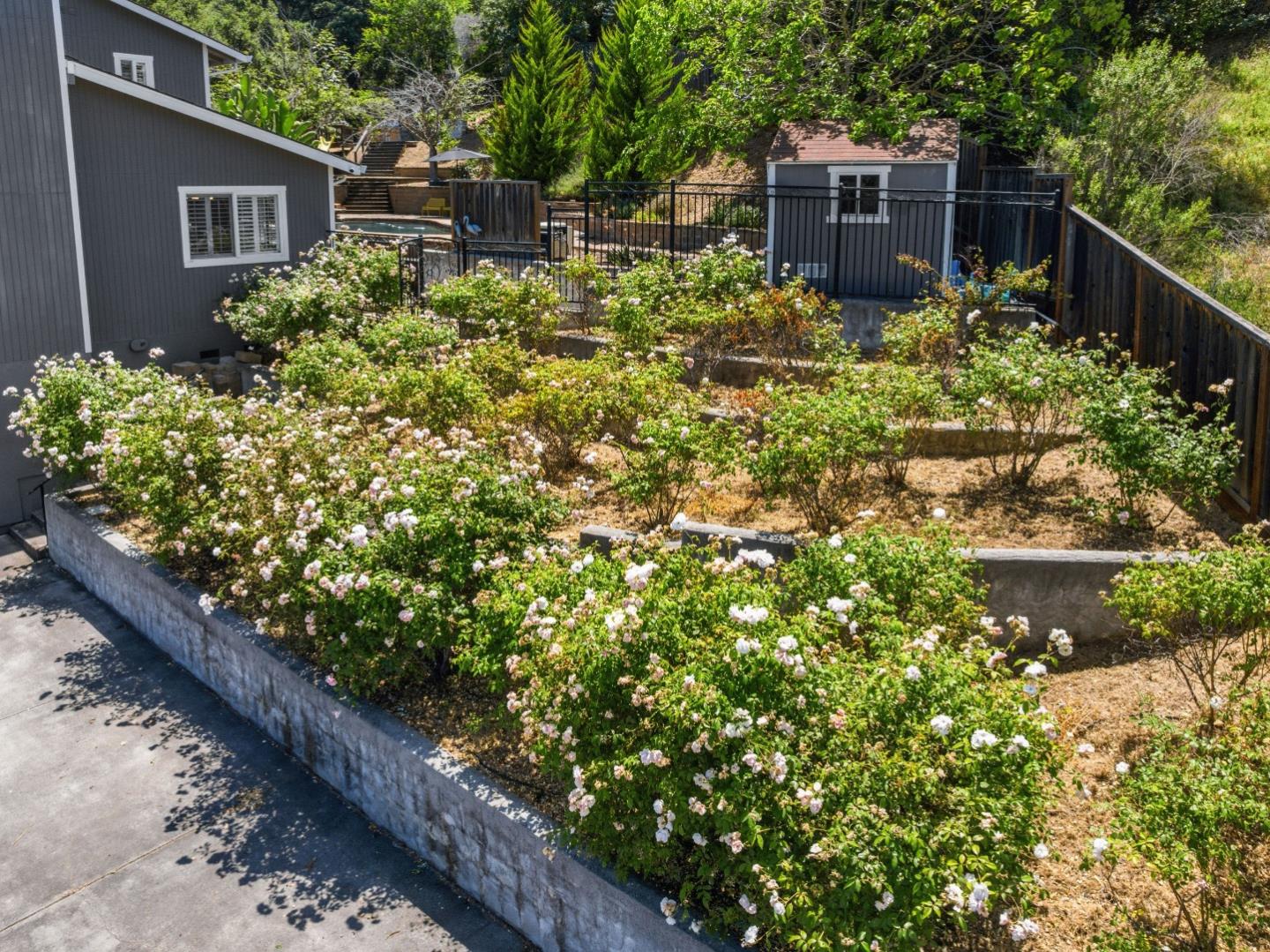 732 Colleen Drive