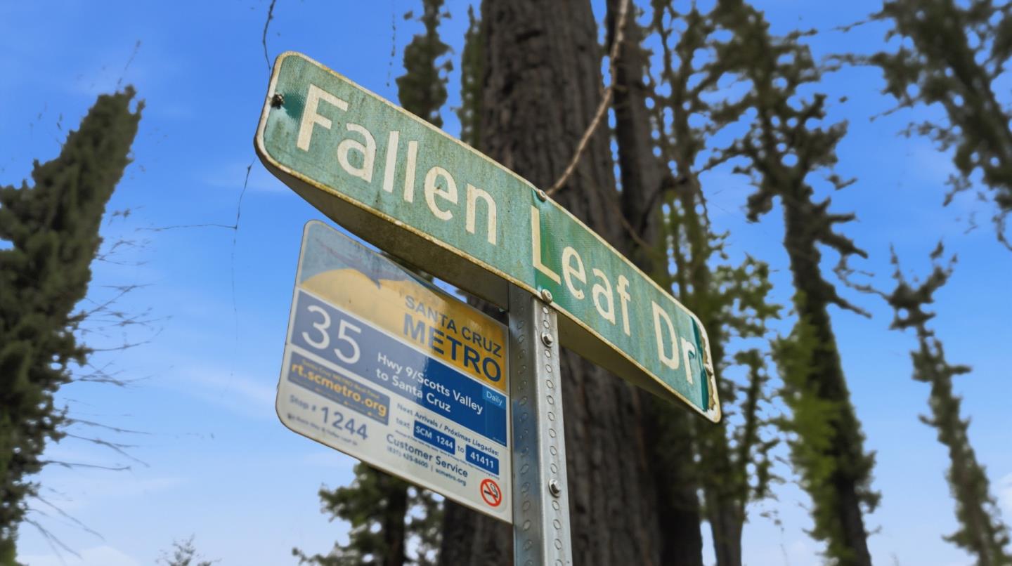 135 Fallen Leaf Drive