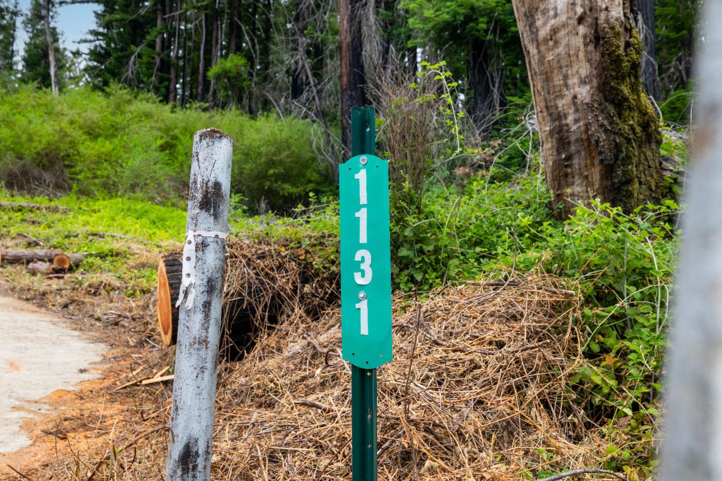 1131 Rambling Road