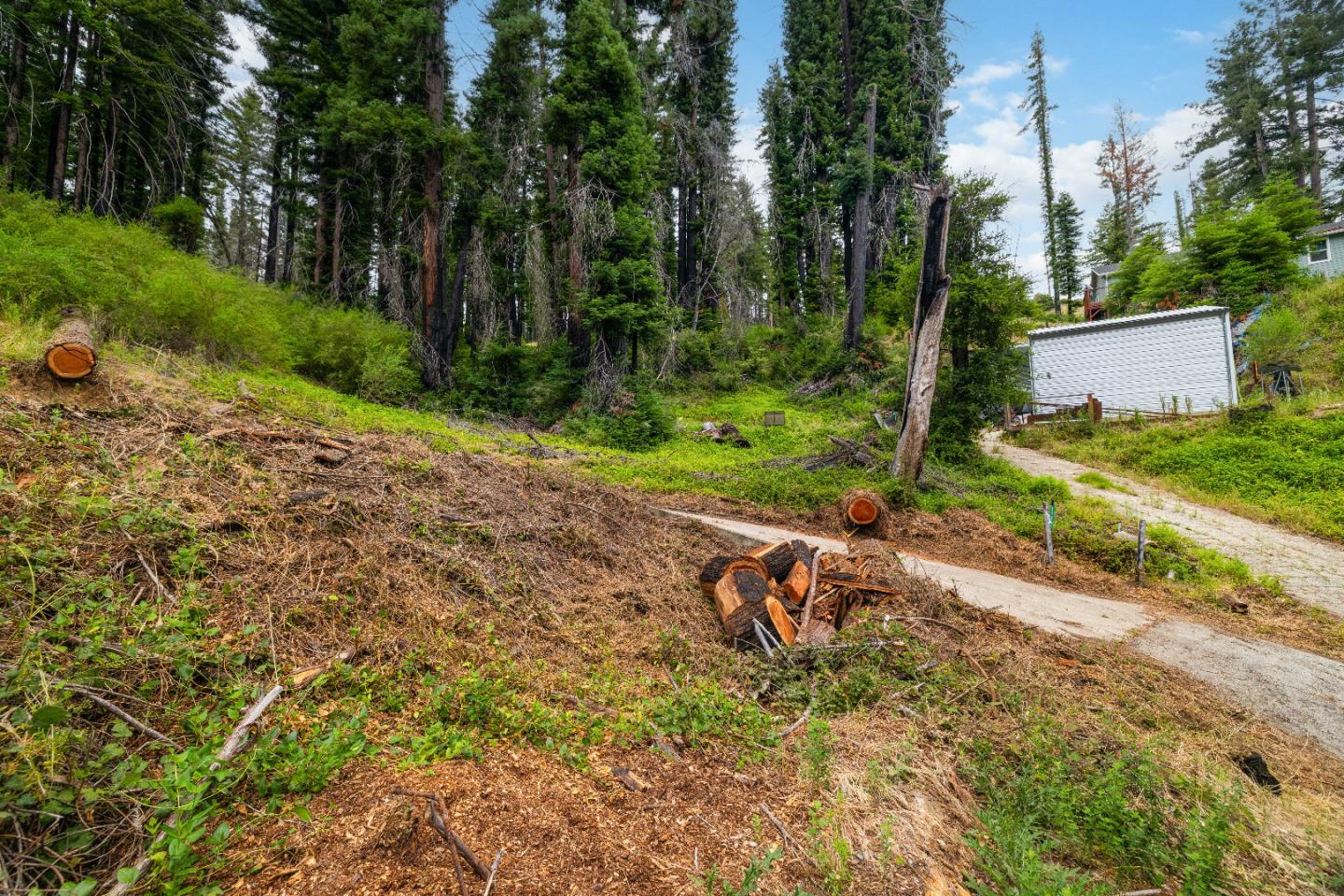 1131 Rambling Road
