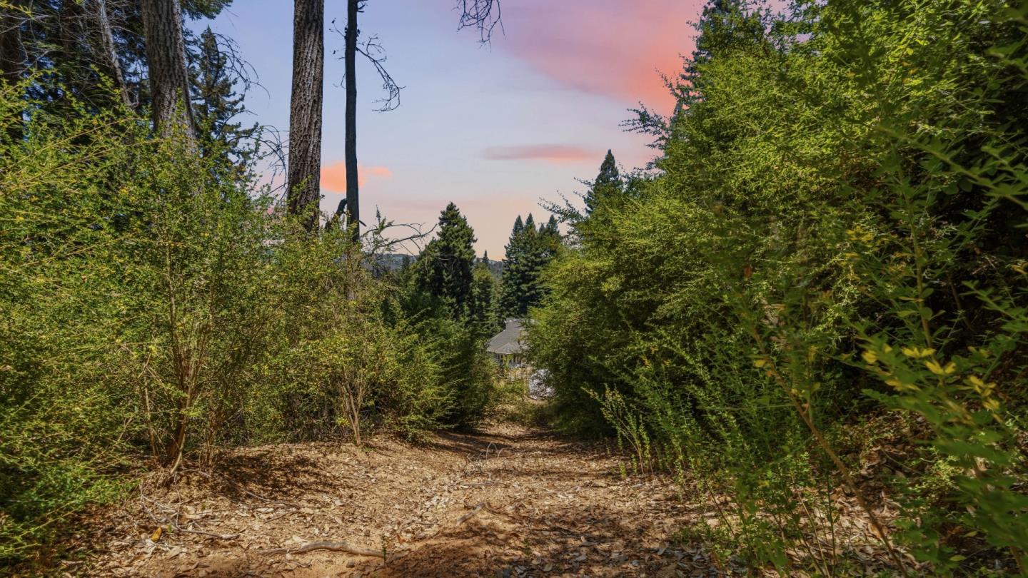 16595 Jamison Creek RD