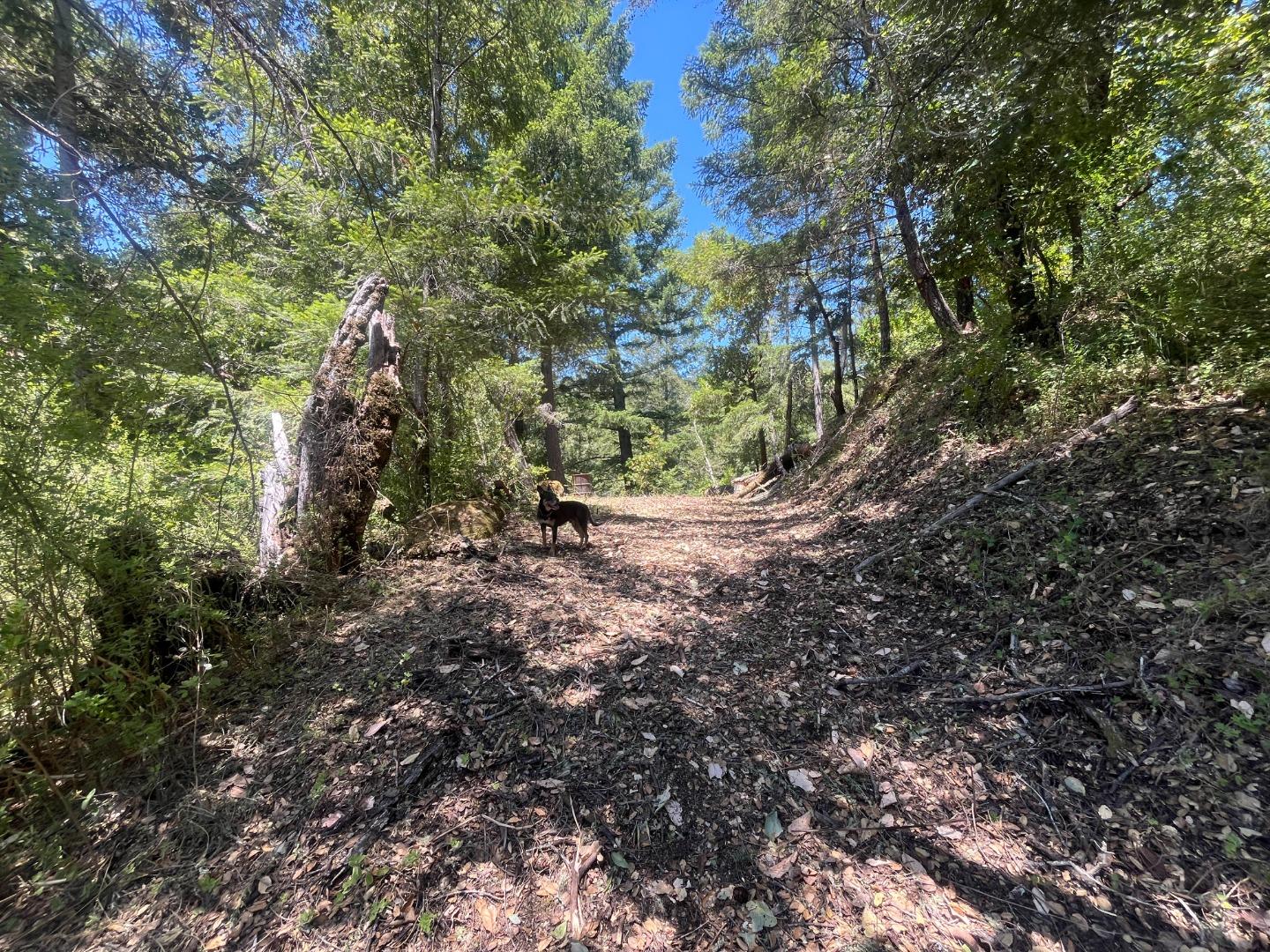 0 Deer Creek (Lot 21) RD