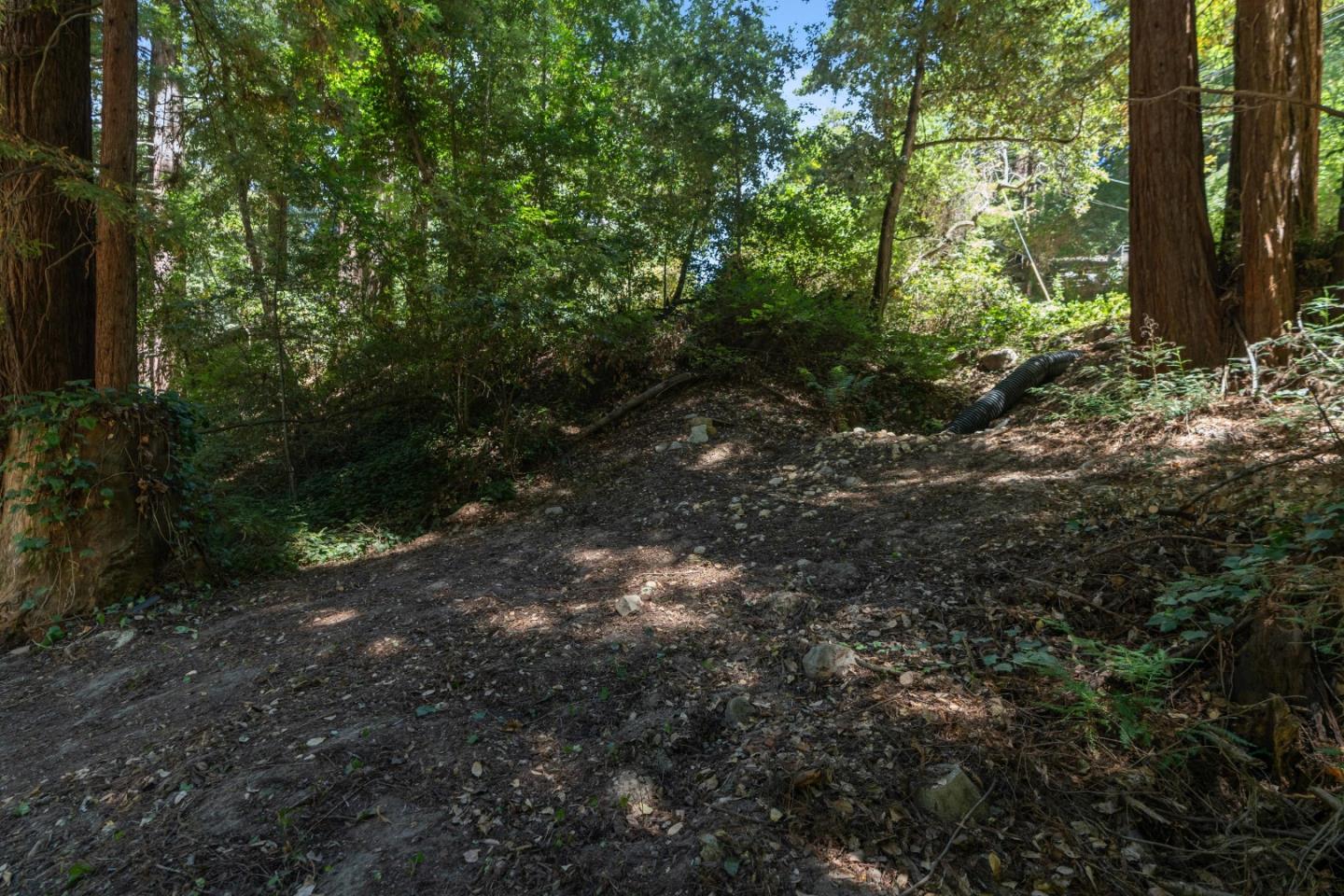 15475 Big Basin WAY