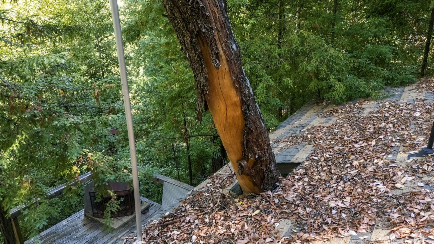 Lot 29 Bear Creek Road