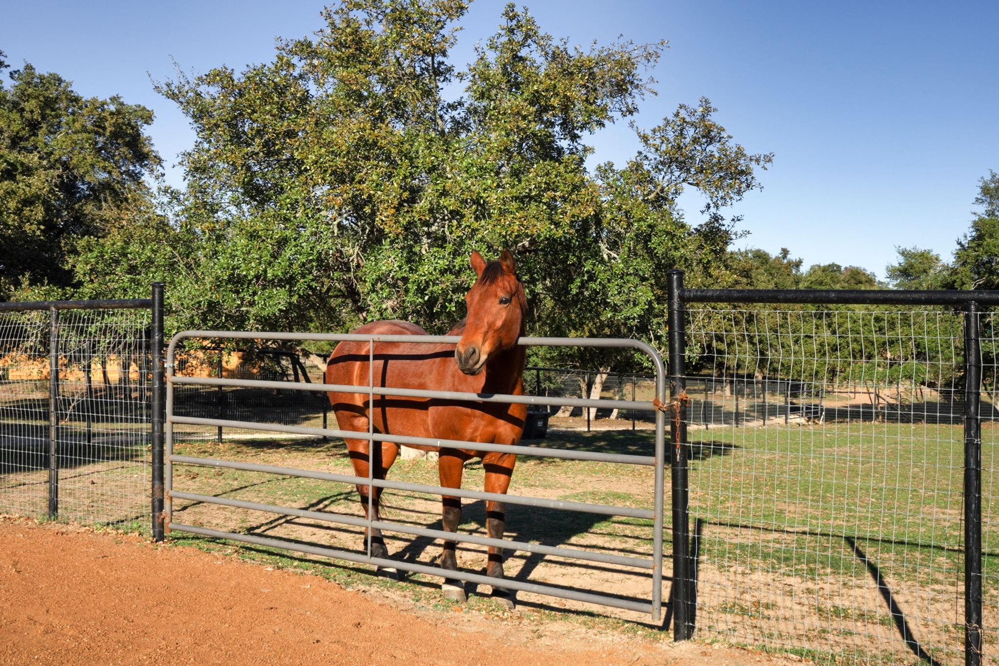 2560 Bell Springs RD