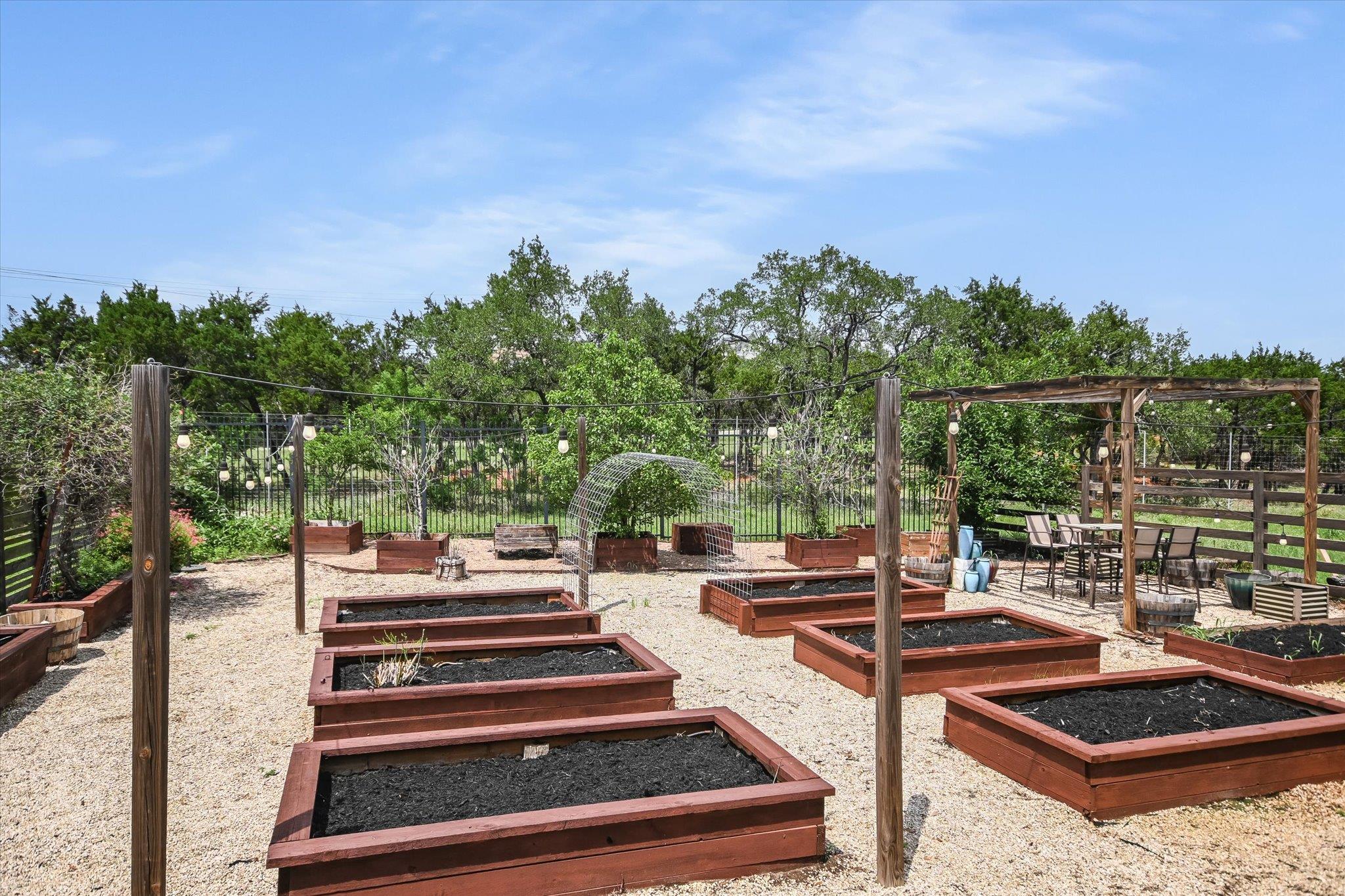 10809 Albero CV