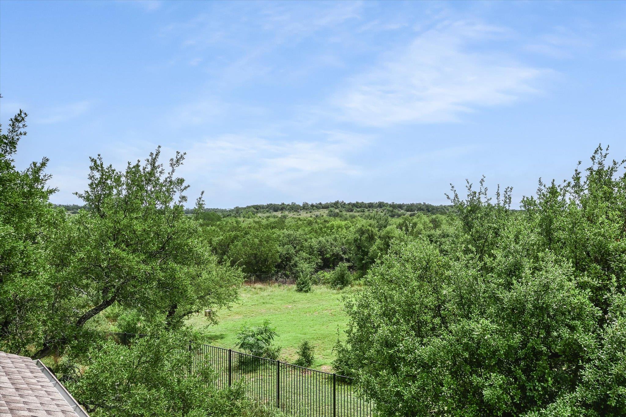 10809 Albero CV