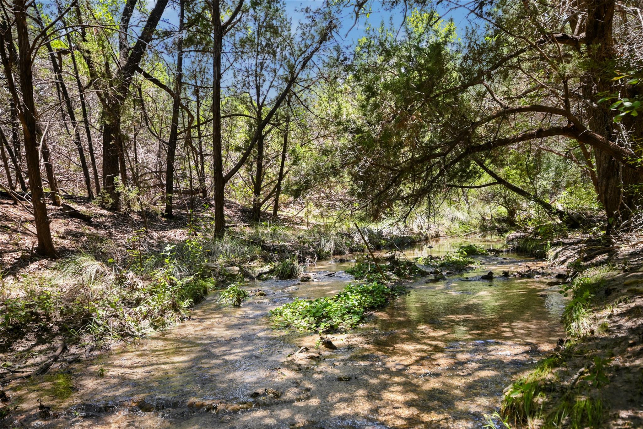 810 Crestone Stream DR