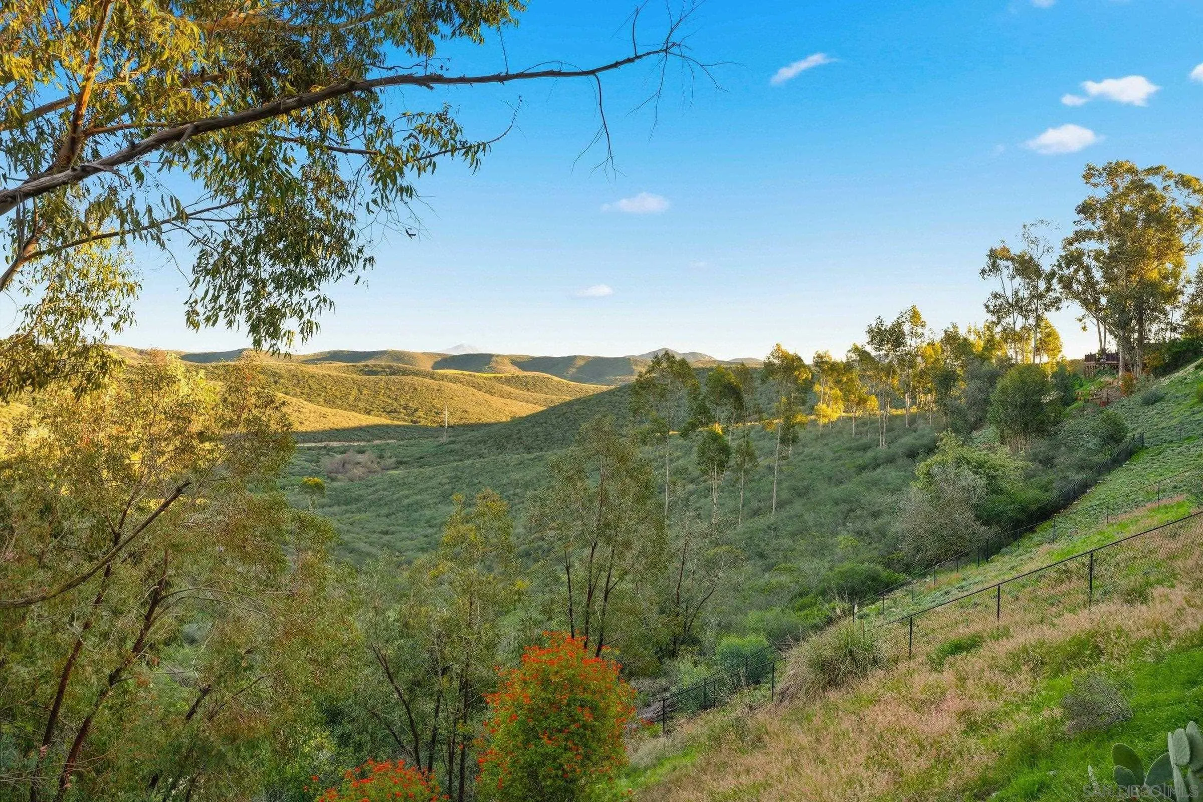 10747 Birch Bluff Ave