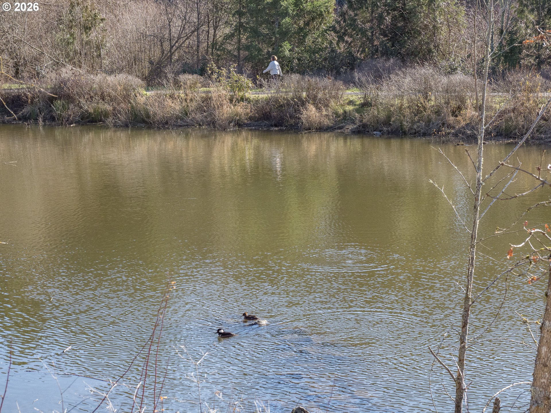 300 NW 116TH AVE 104