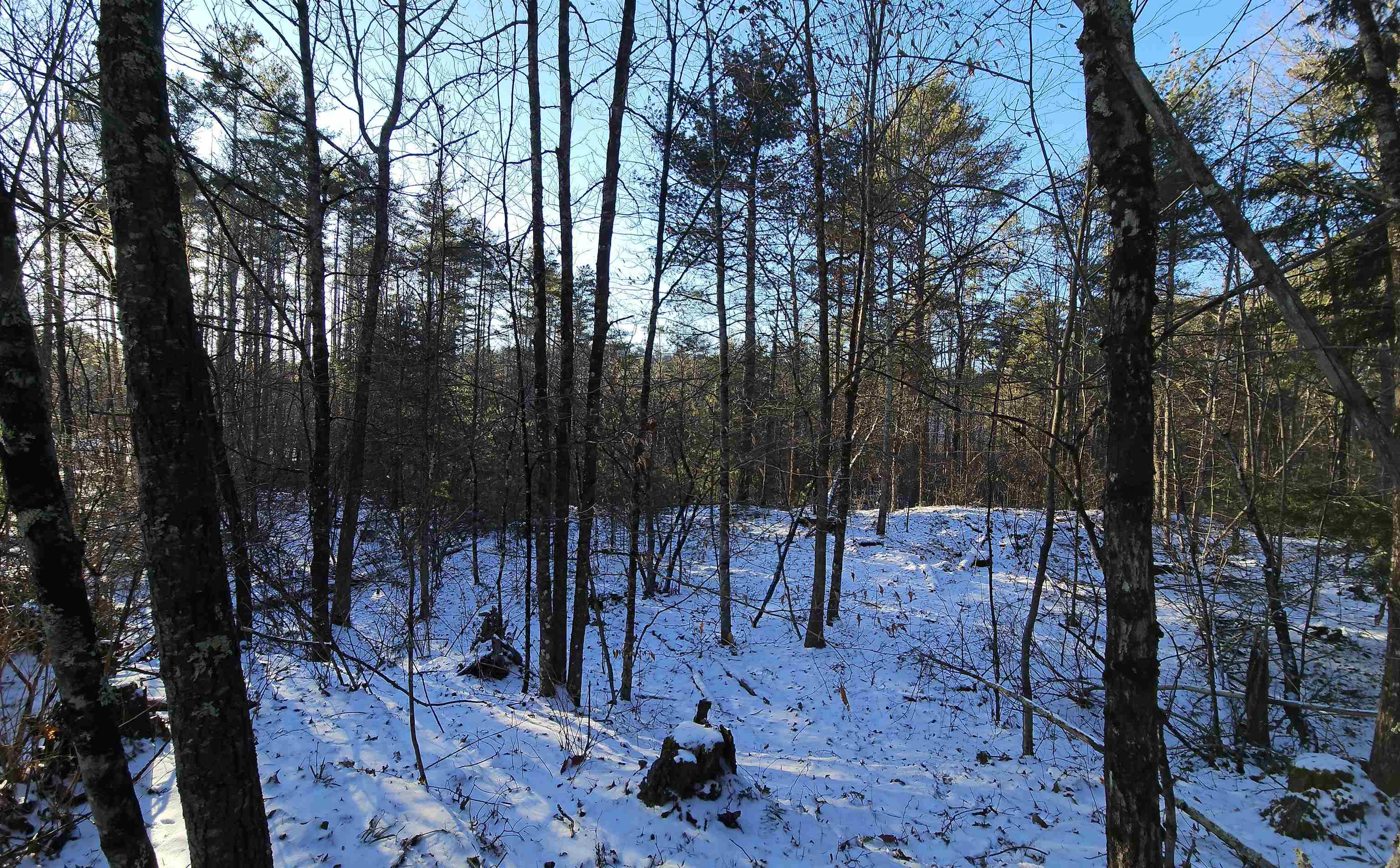 0 Bullfrog Hollow Road