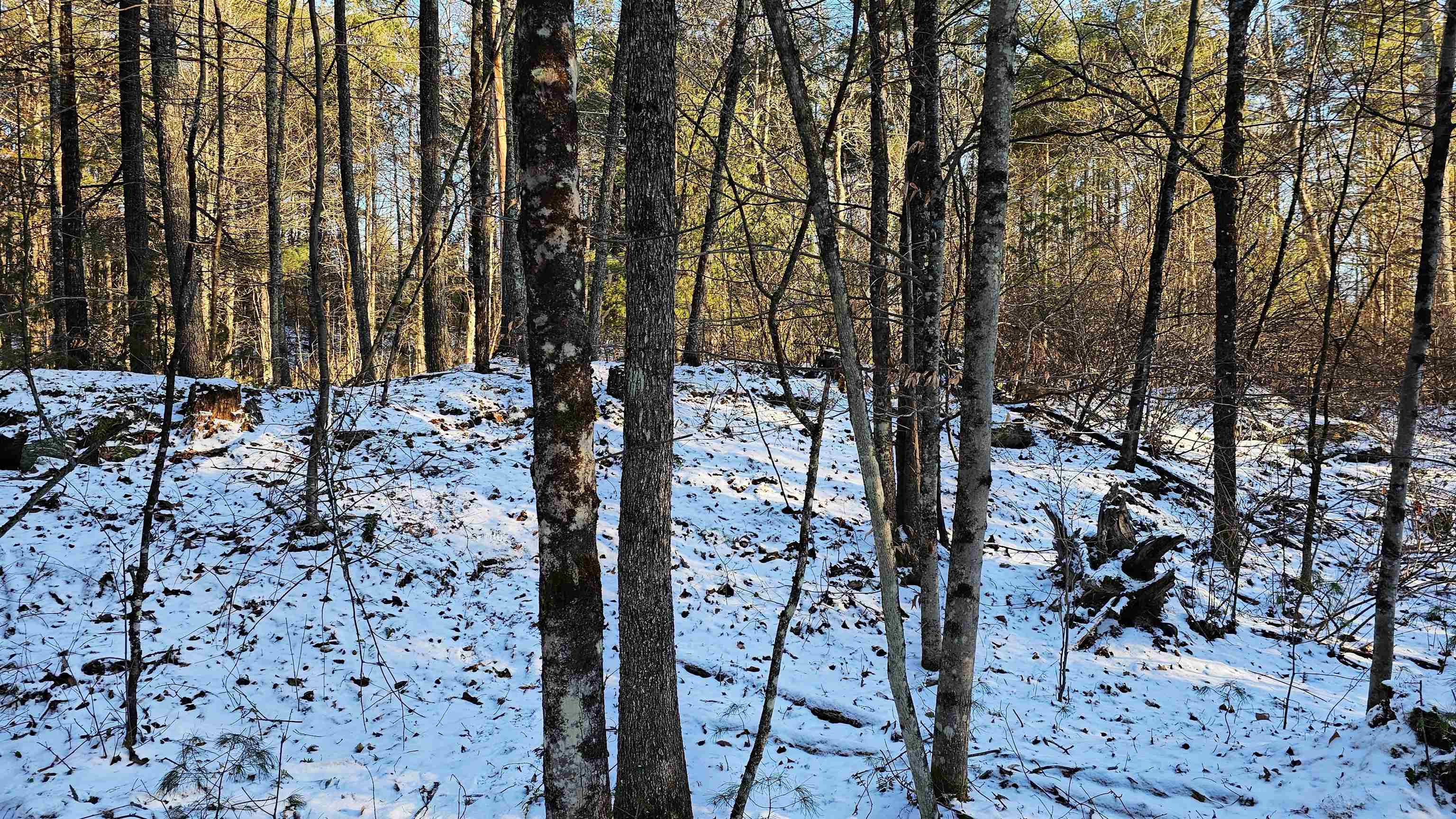 0 Bullfrog Hollow Road