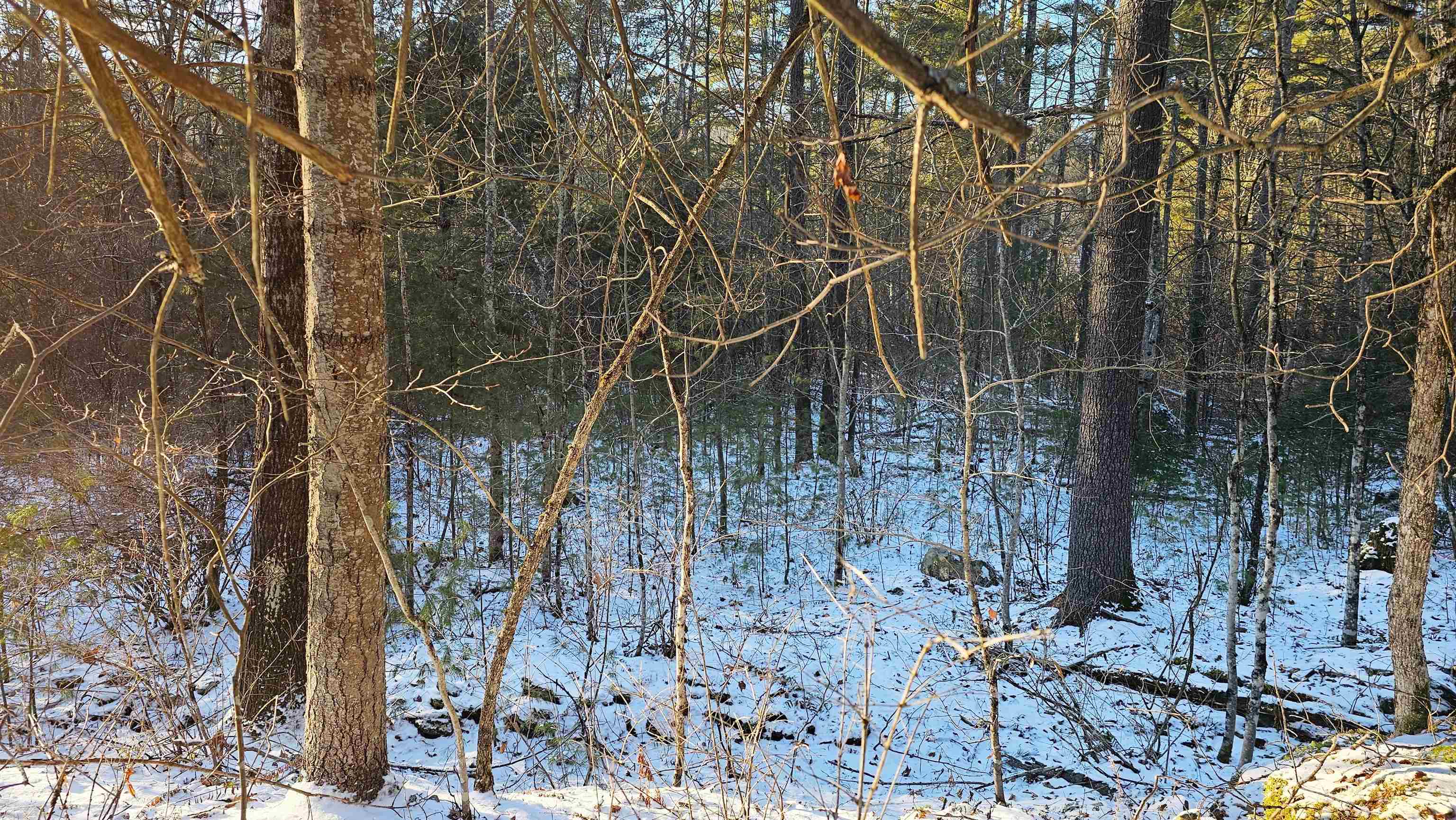 0 Bullfrog Hollow Road
