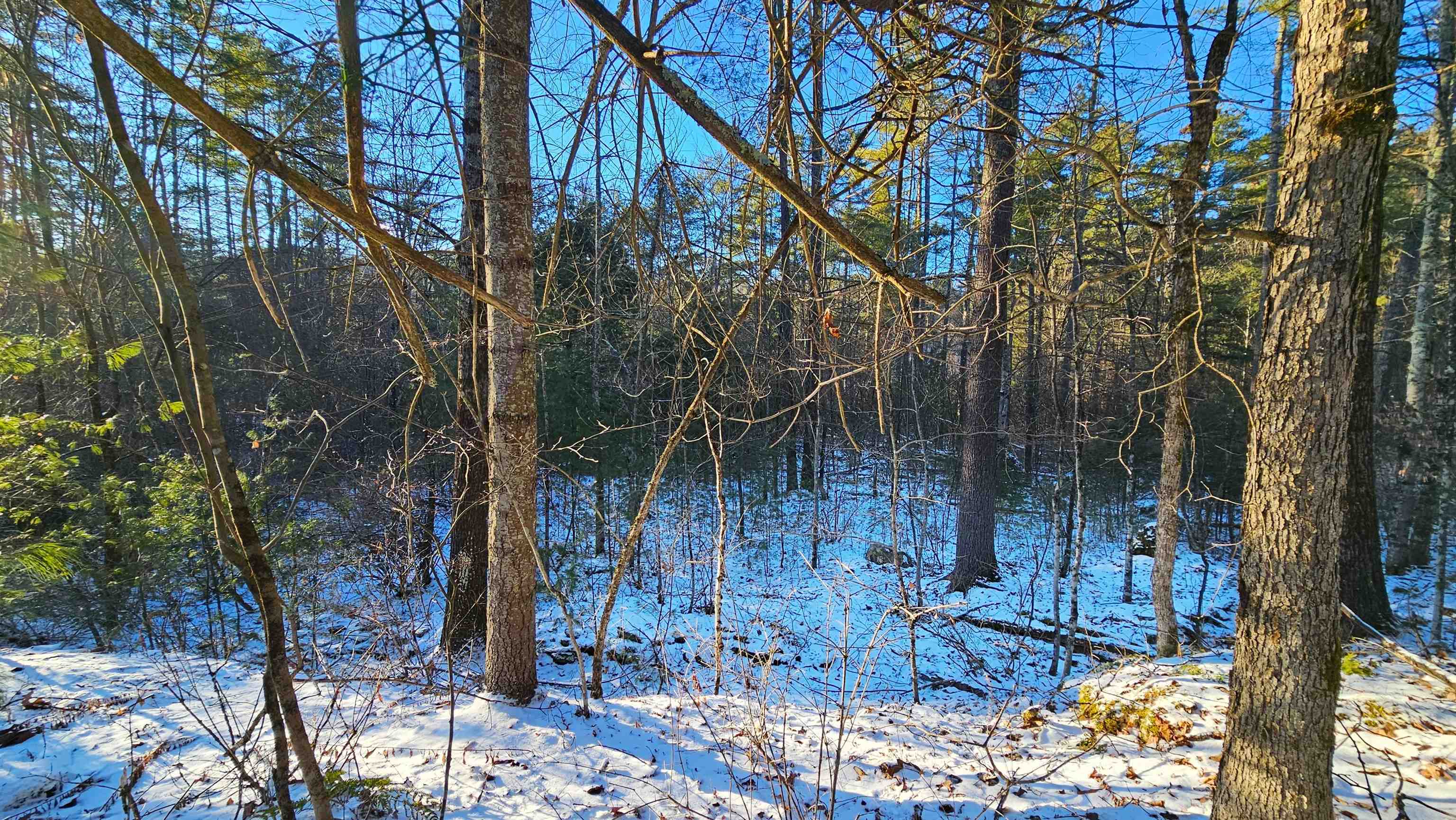 0 Bullfrog Hollow Road