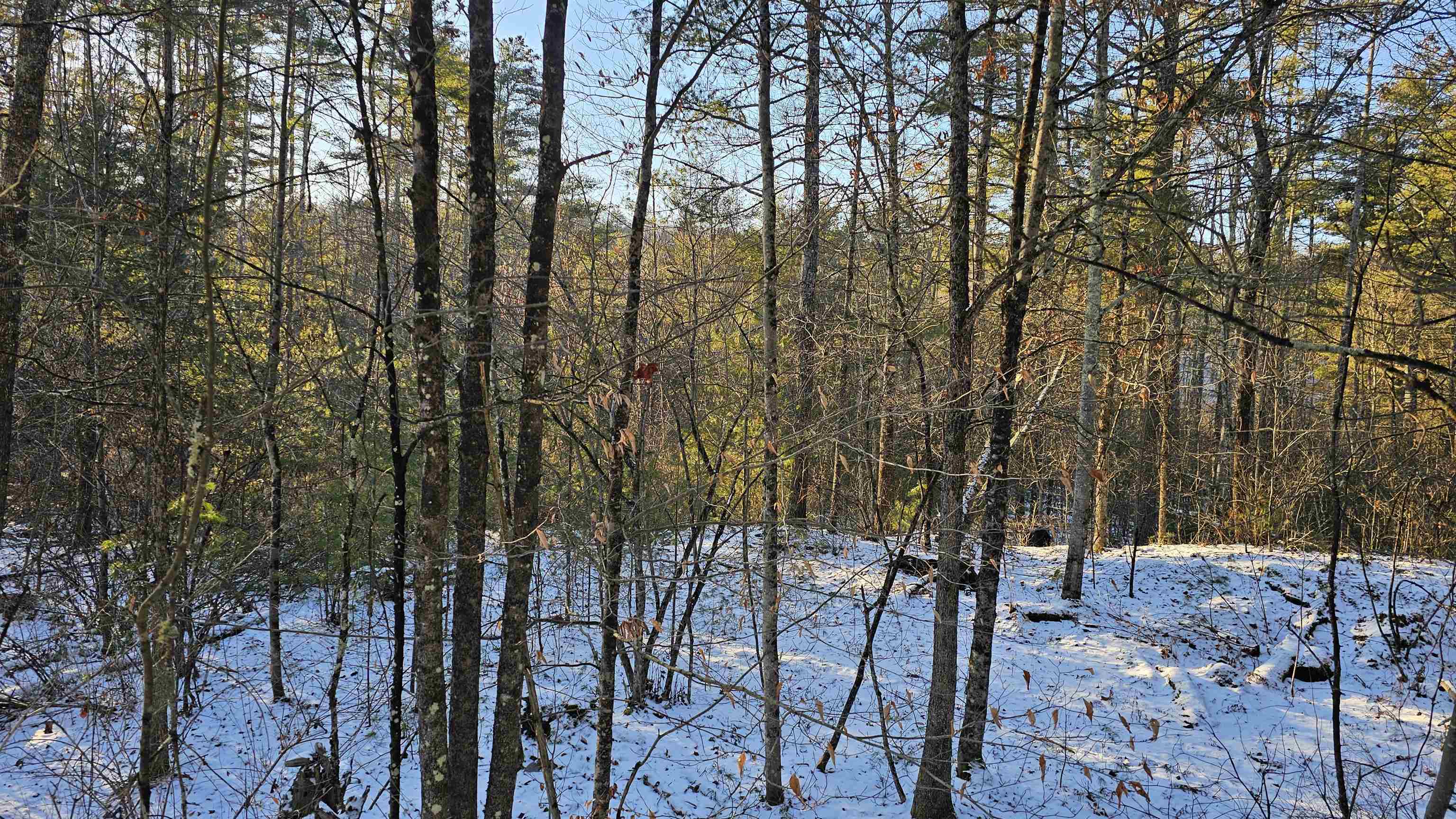 0 Bullfrog Hollow Road