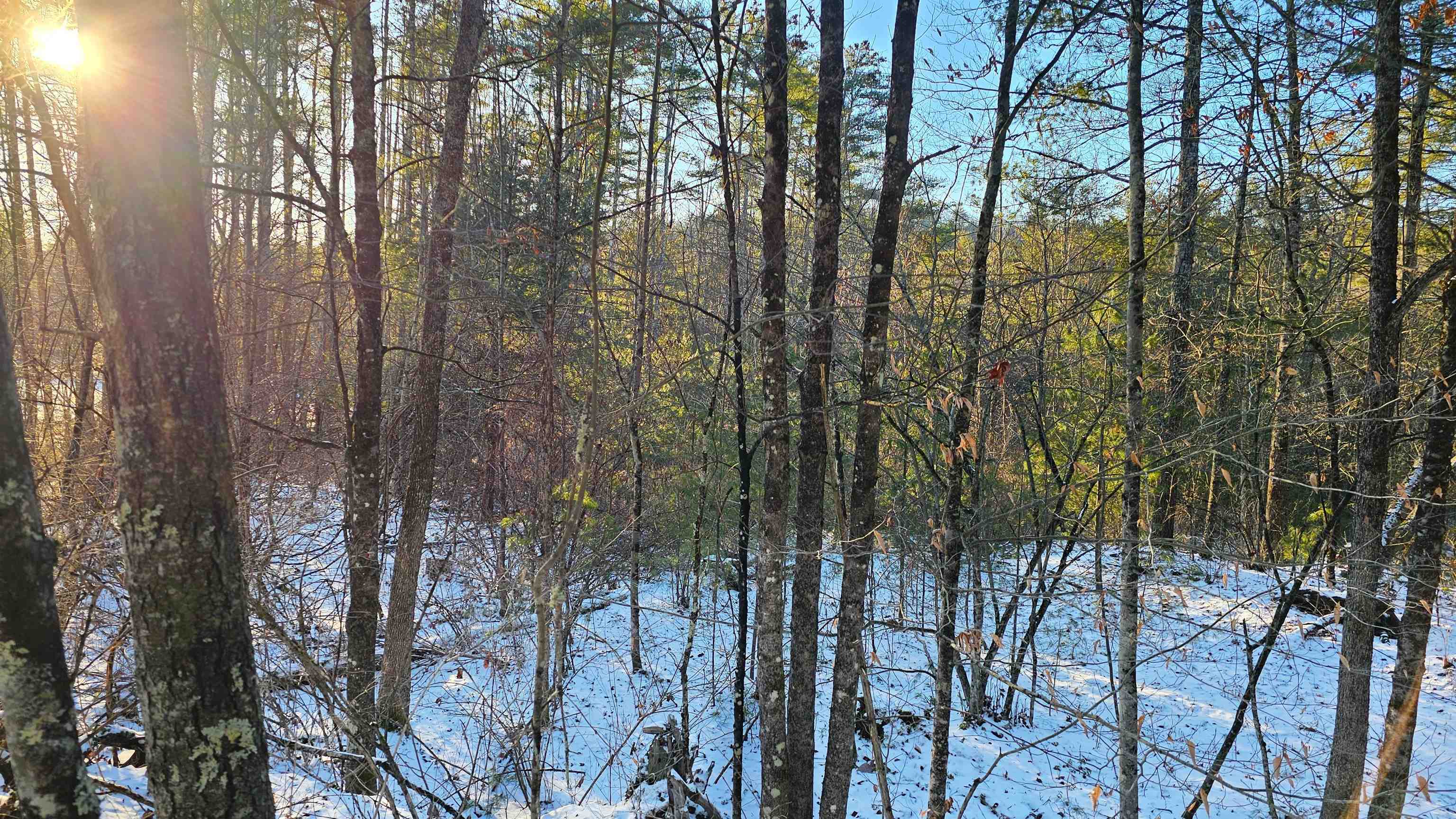 0 Bullfrog Hollow Road