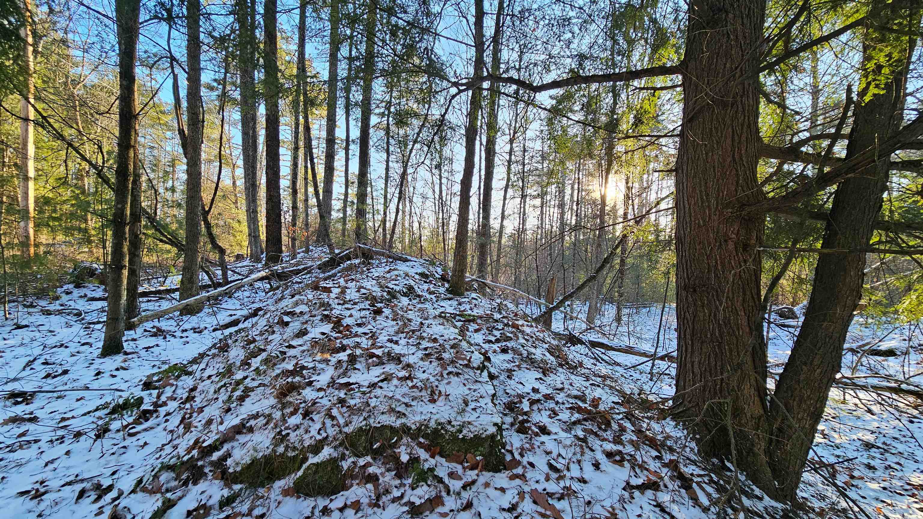 0 Bullfrog Hollow Road
