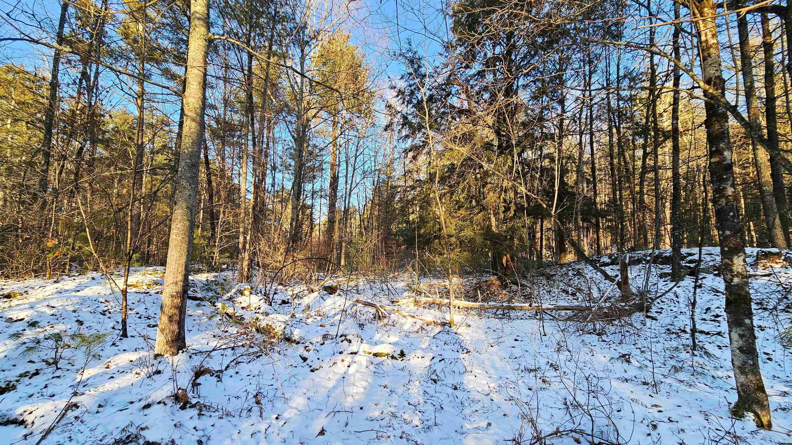 0 Bullfrog Hollow Road