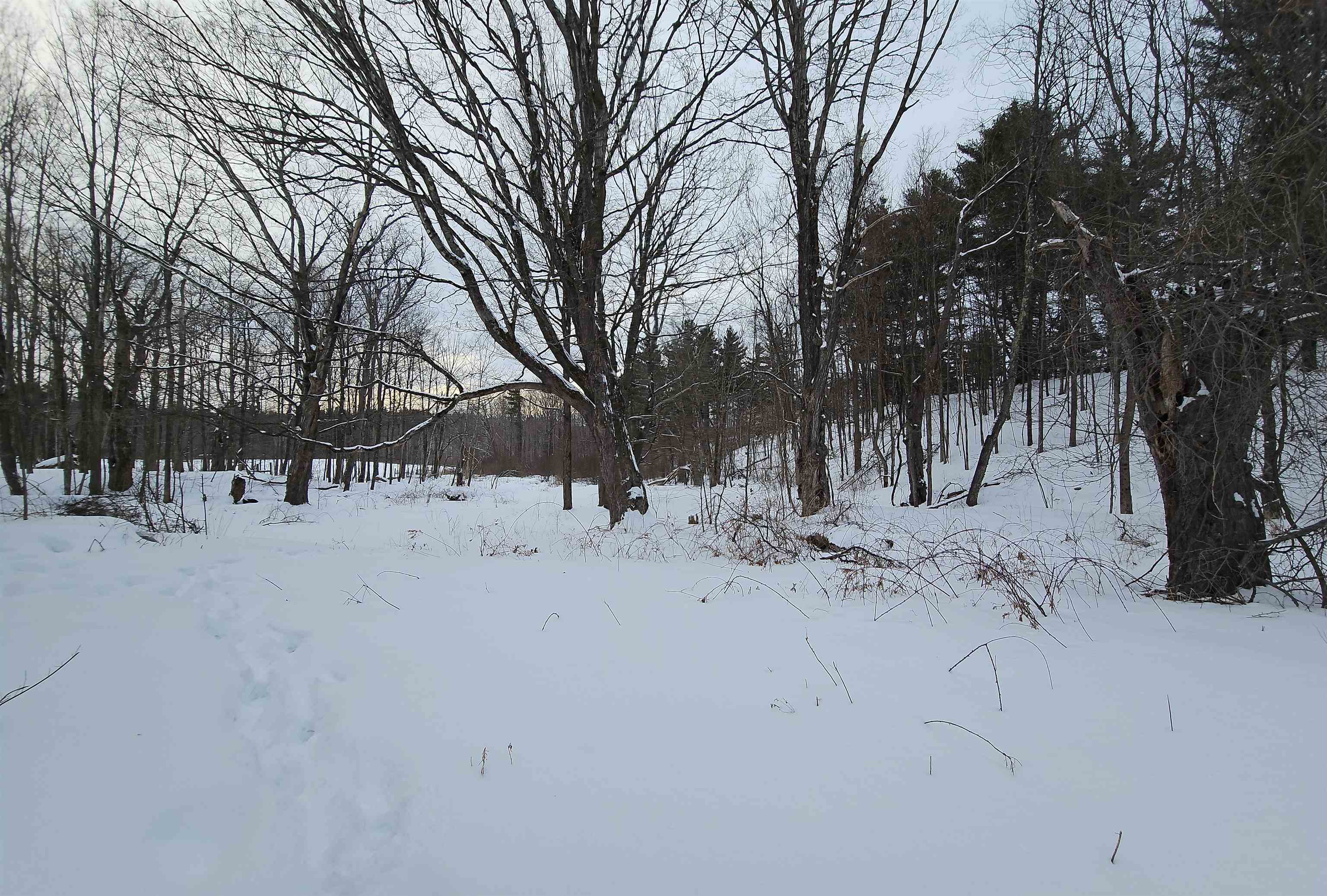 339 South Stream Road