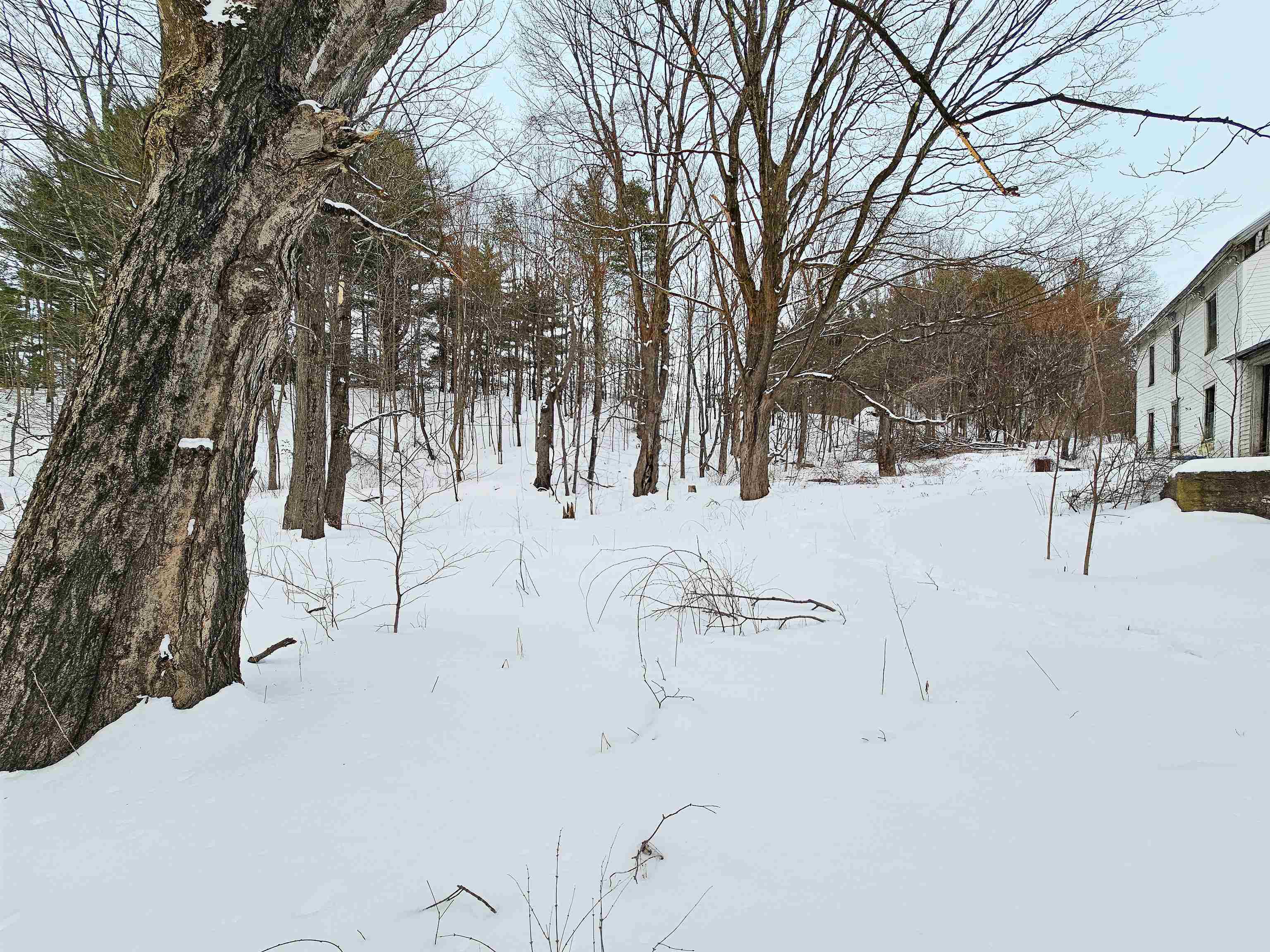 339 South Stream Road