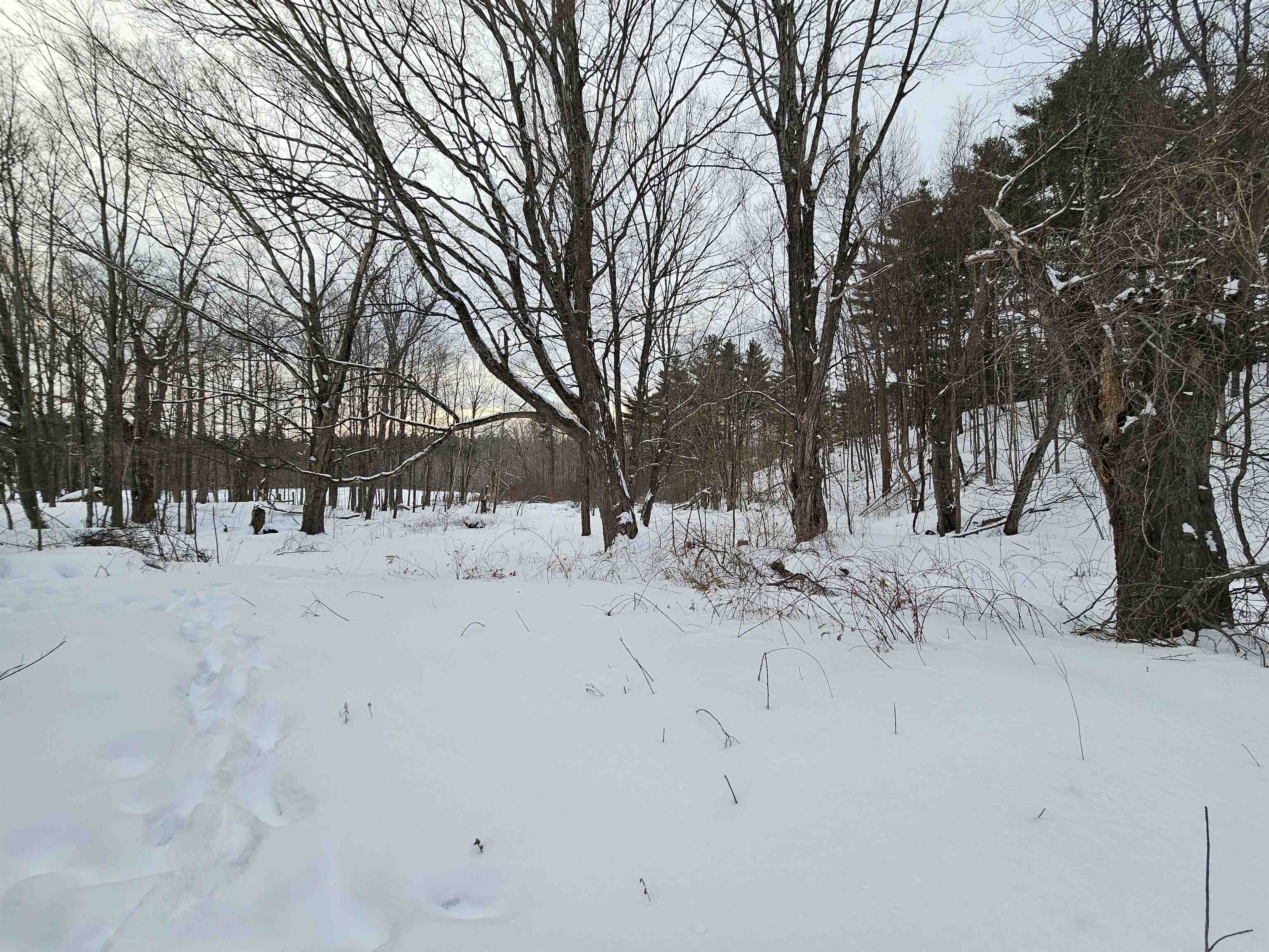 339 South Stream Road