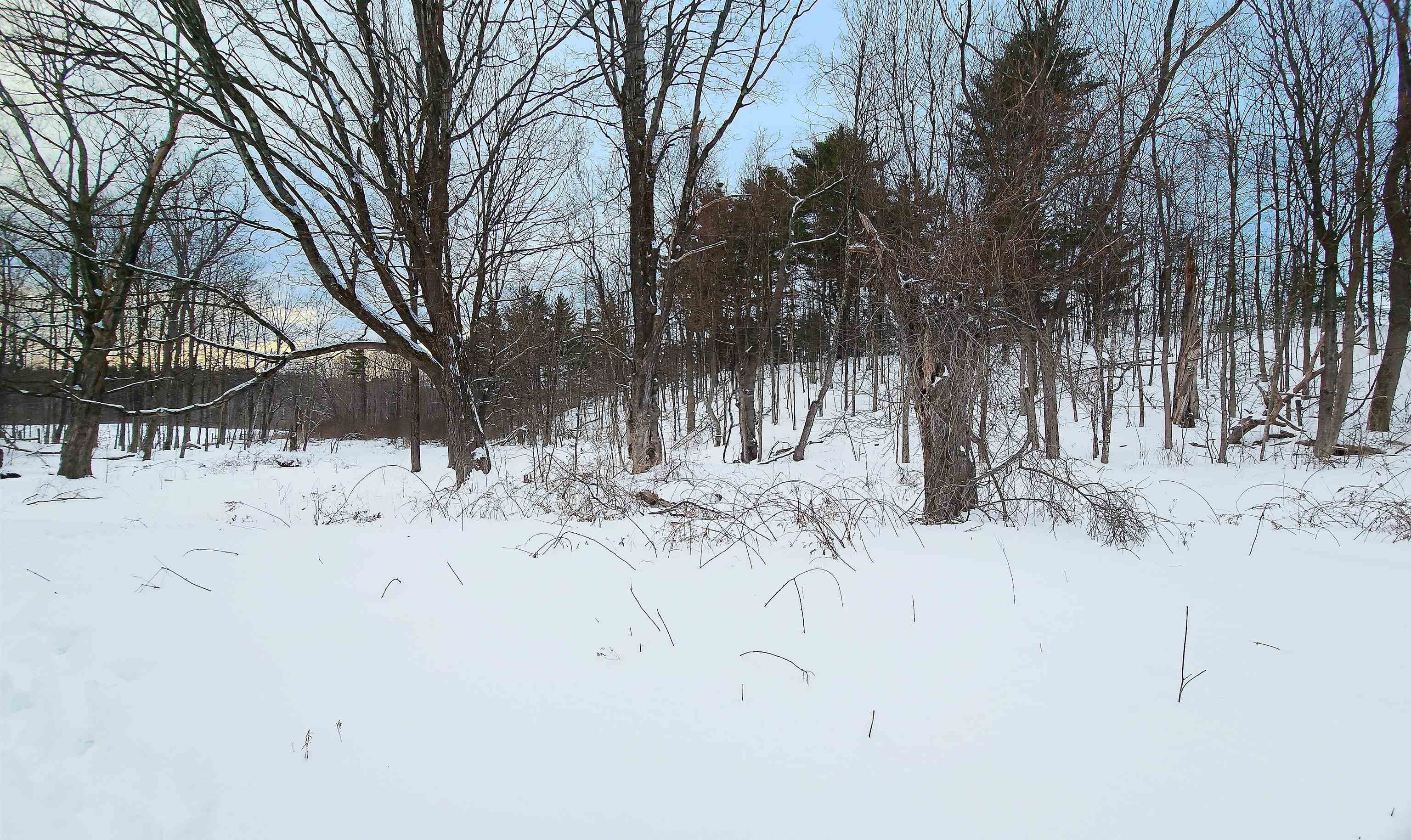 339 South Stream Road