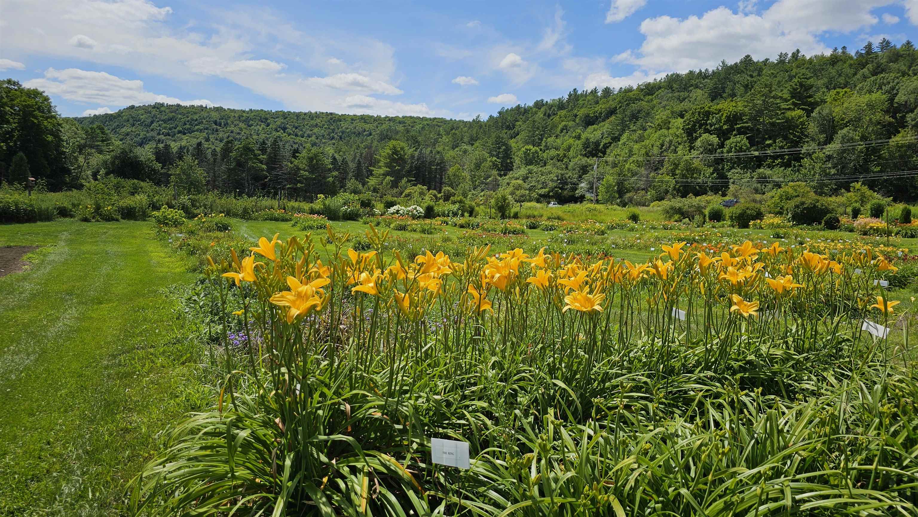 2236 US Route 2