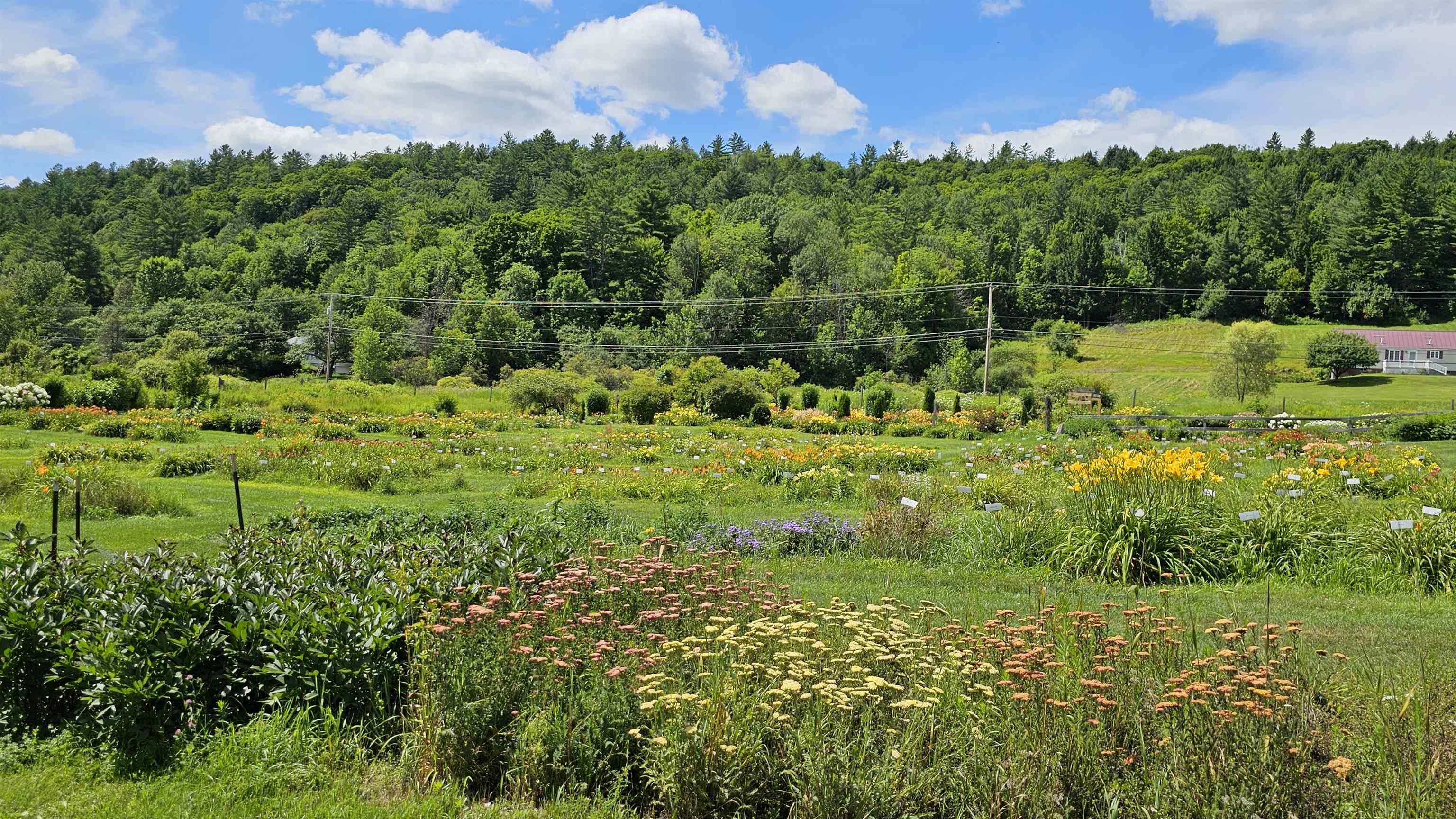 2236 US Route 2