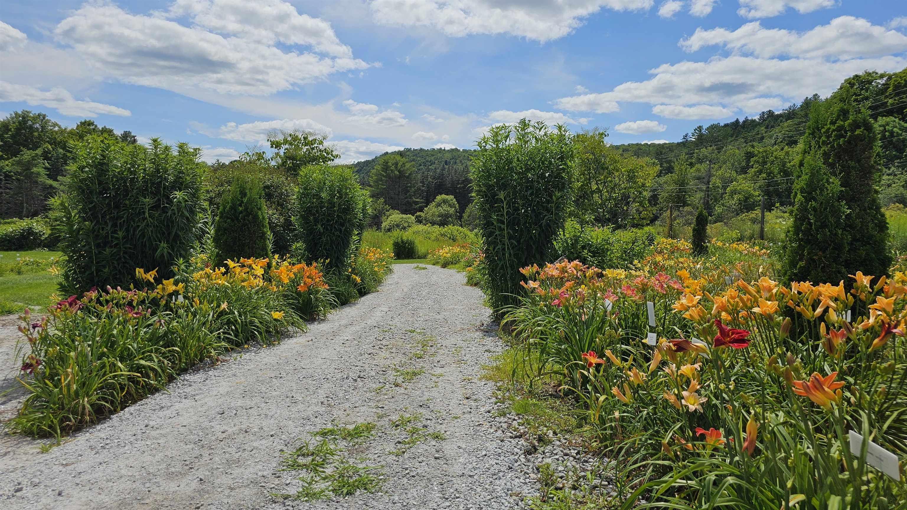 2236 US Route 2